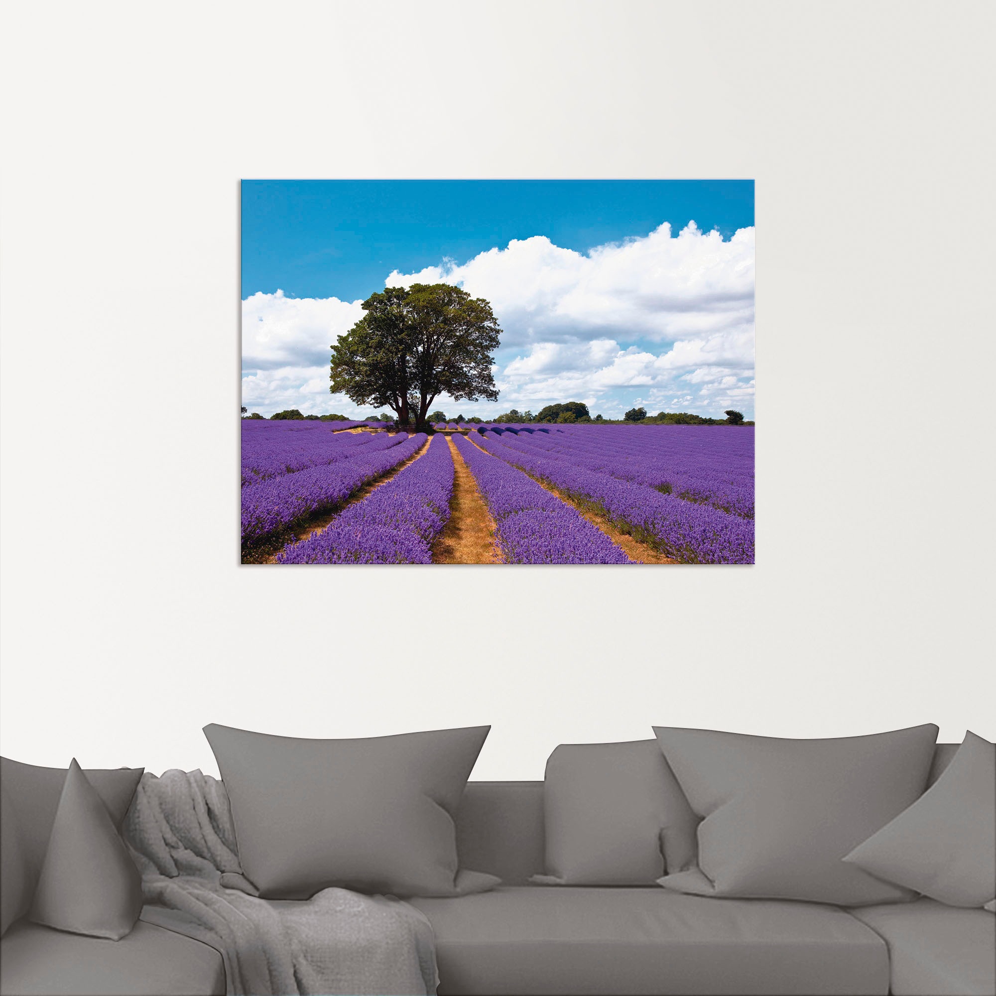 Artland Wandbild »Schönes Lavendelfeld im Sommer«, Felder, (1 St.), als Alubild, Outdoorbild, Leinwandbild in verschied. Größen