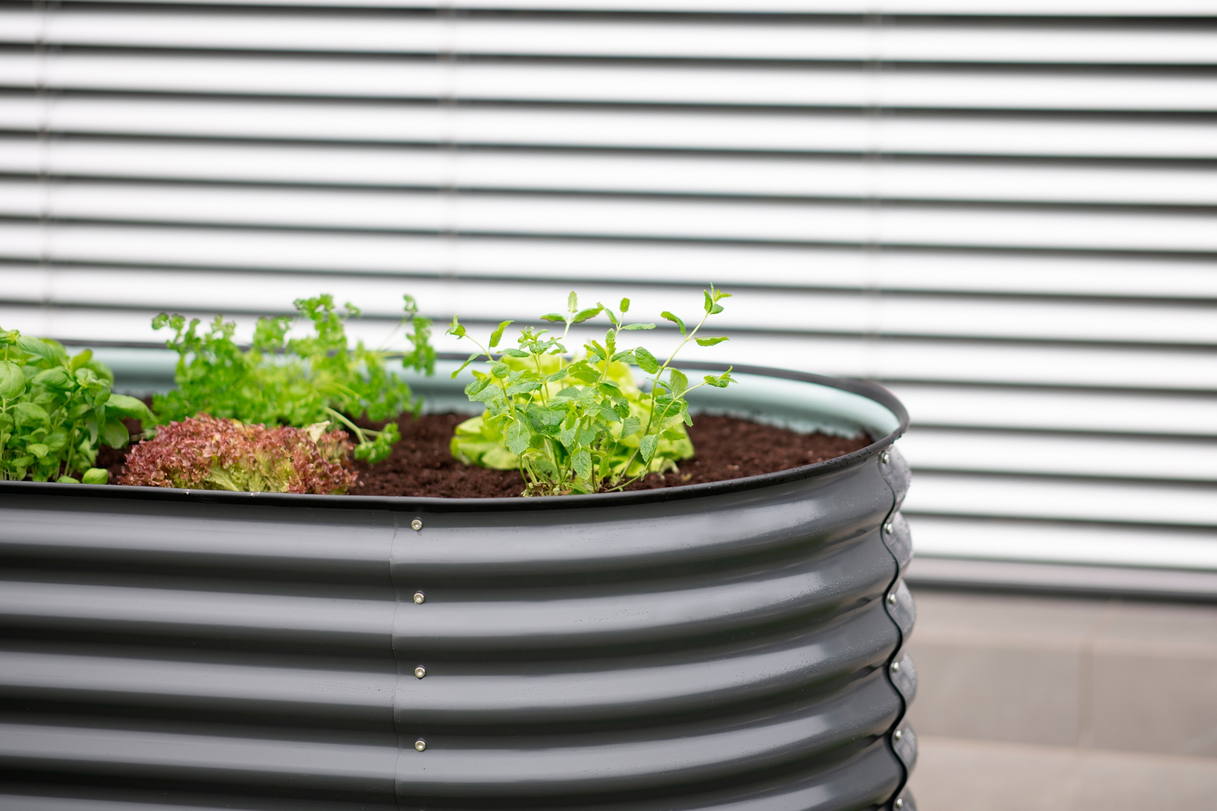 WESTMANN Hochbeet »Oval 240« BxTxH: 240x80x82 cm