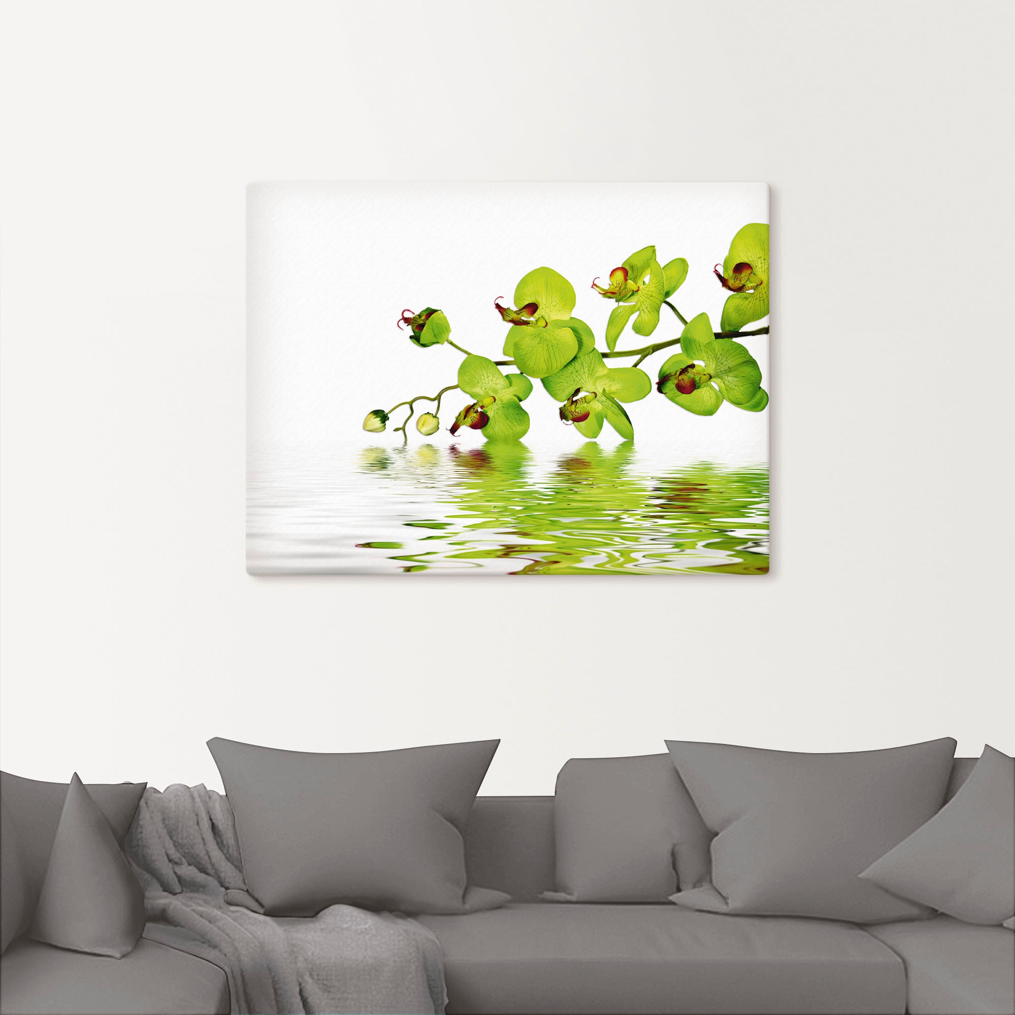 Artland Wandbild »Schöne Orchidee mit grünem Hintergrund«, Blumen, (1 St.), als Leinwandbild, Wandaufkleber in verschied. Größen