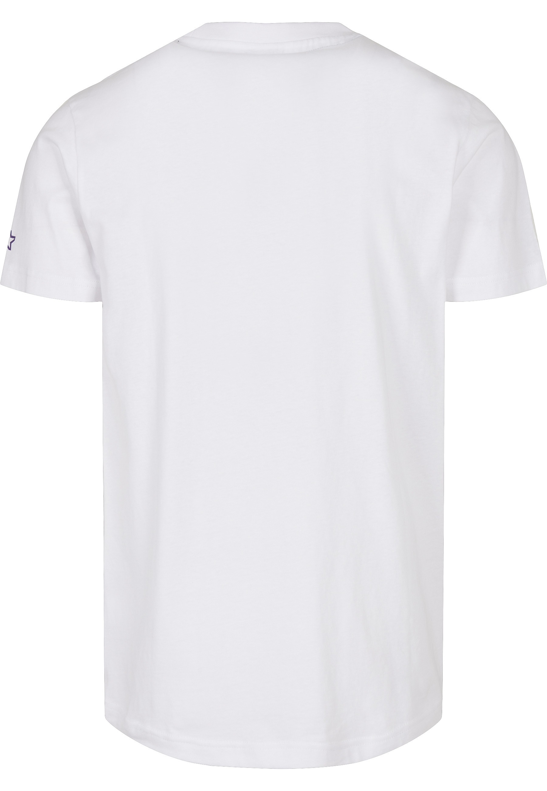 Starter Black Label T-Shirt »Starter Black Label Herren Starter Swing Tee« 1 Stk.