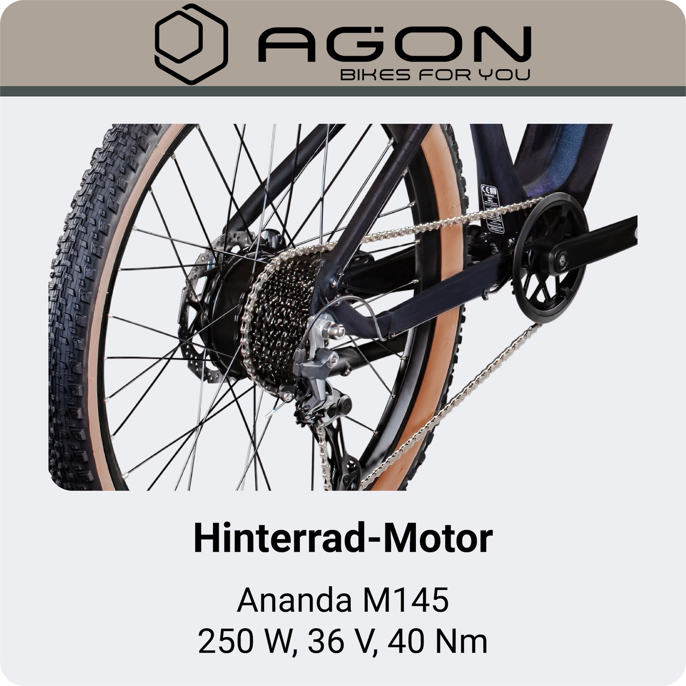 AGON »Alpha« 10 Gang Deore SGS T6000 Schaltwerk Kettenschaltung Heckmotor 250 W Pedelec, Elektrofahrrad für Damen u. Herren, MTB