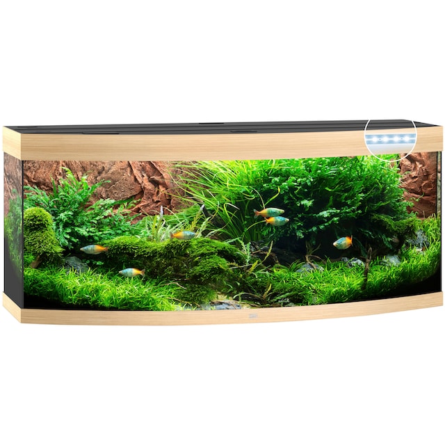 JUWEL AQUARIEN Aquarium »Vision 450 LED«, BxTxH: 151x61x64 cm, 450 l, inkl.  MultiLux LED Einsatzleuchte online bestellen