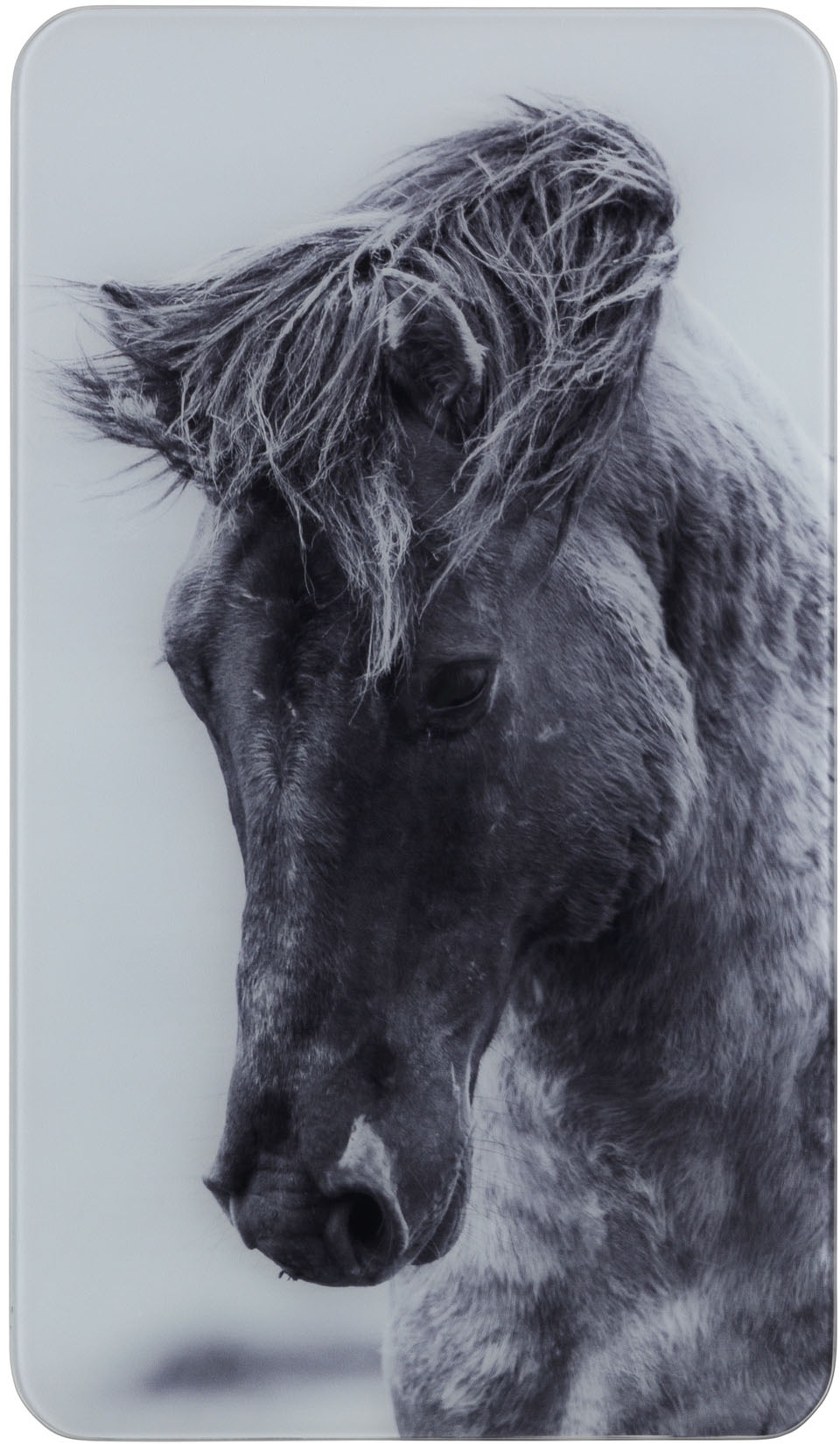 WENKO Herd-Abdeckplatte »Horses«, (Set, 2 tlg.), für alle Herdarten