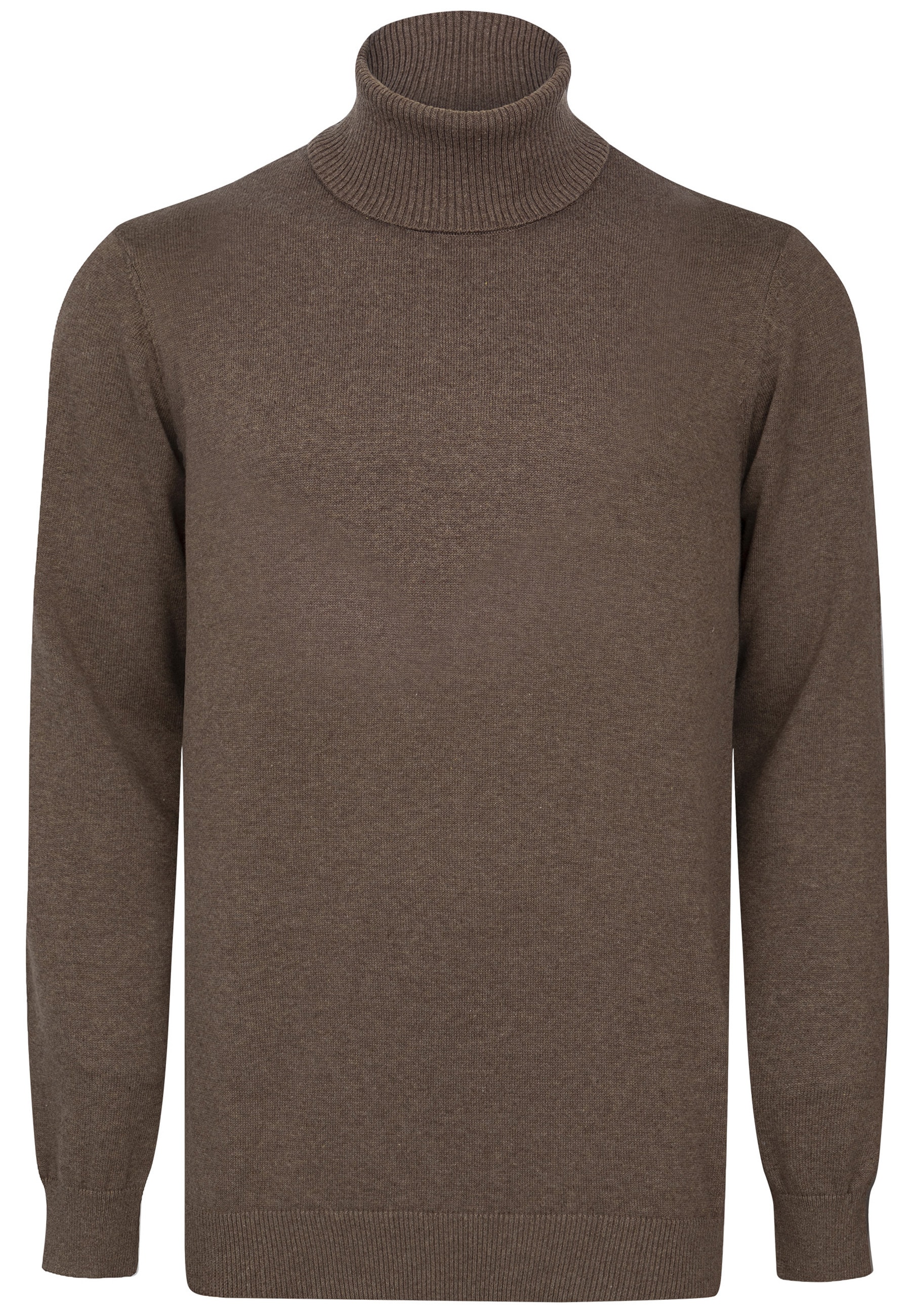 Felix Hardy Rollkragenpullover »Rollkragenpullover 2er-Pack«