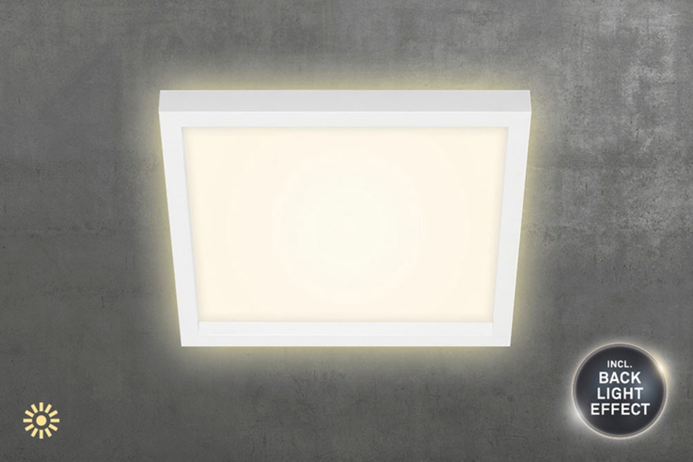 Briloner Leuchten LED Deckenleuchte »CADRE« günstig online kaufen