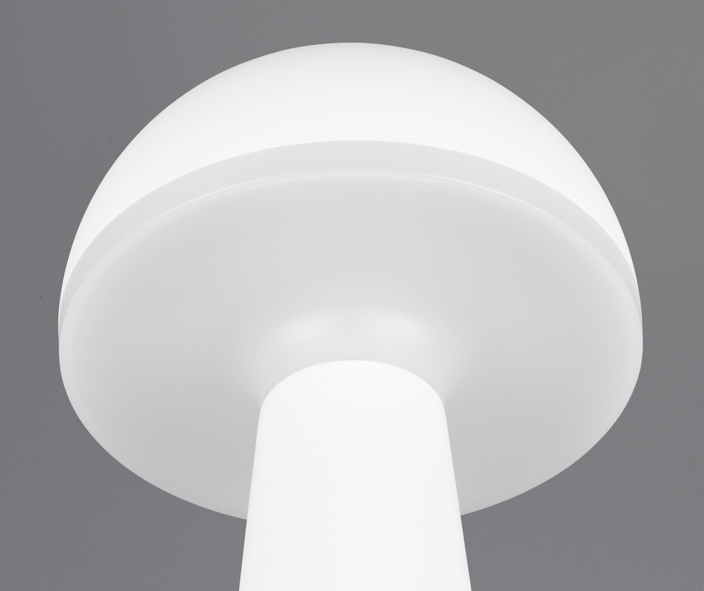REALITY Leuchten LED Außen-Tischleuchte »FUNGO«, 1 flammig, Leuchtmittel LED-Board | LED fest integriert, Outdoor Akku Tischlampe inkl Ladestation USB-C, Lichtfarbe einstellbar