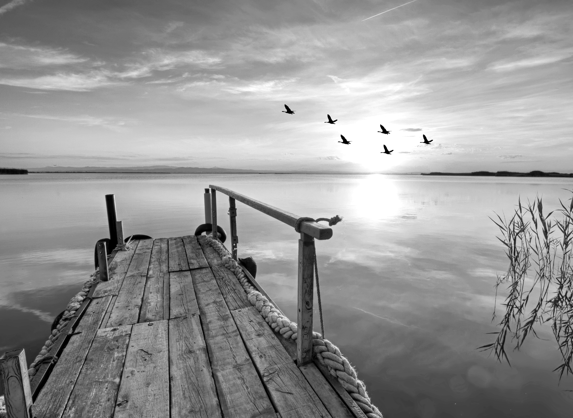 Papermoon Fototapete »Steg am Wasser Schwarz & Weiß« günstig online kaufen