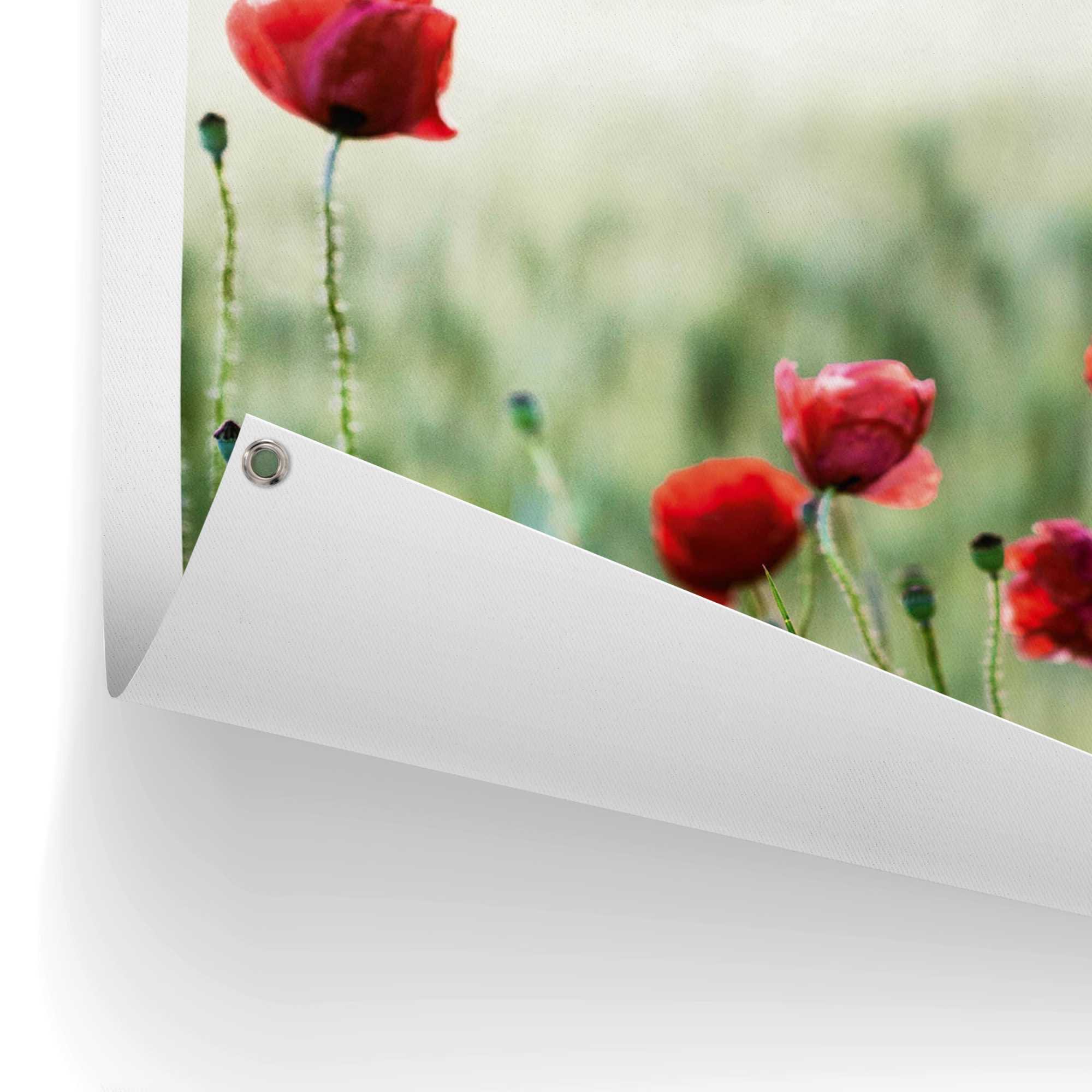 Reinders! Poster »Mohnblüten«, Outdoor für Garten oder Balkon