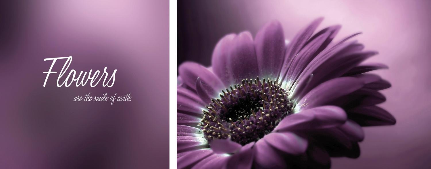 queence Leinwandbild »Flower«, Blumen-Blumenbilder-Kunst-Modern-Spa-Spa Bil günstig online kaufen
