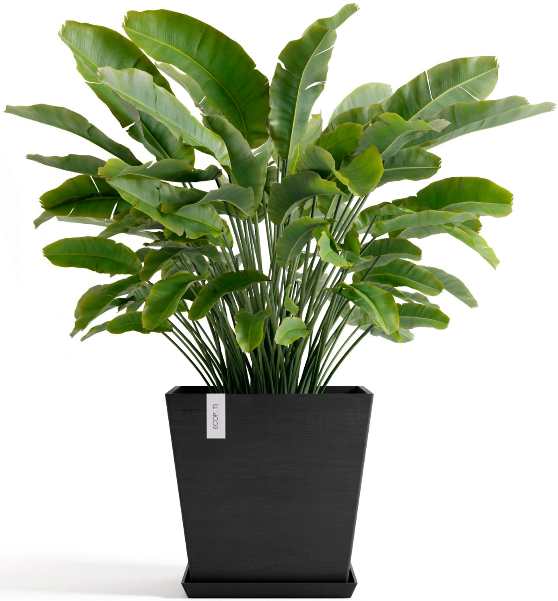 ECOPOTS Blumentopf »Rotterdam 45 + Wassersystem Dunkelgrau« für innen und außen: frostsicher, bruchsicher und lichtbeständig