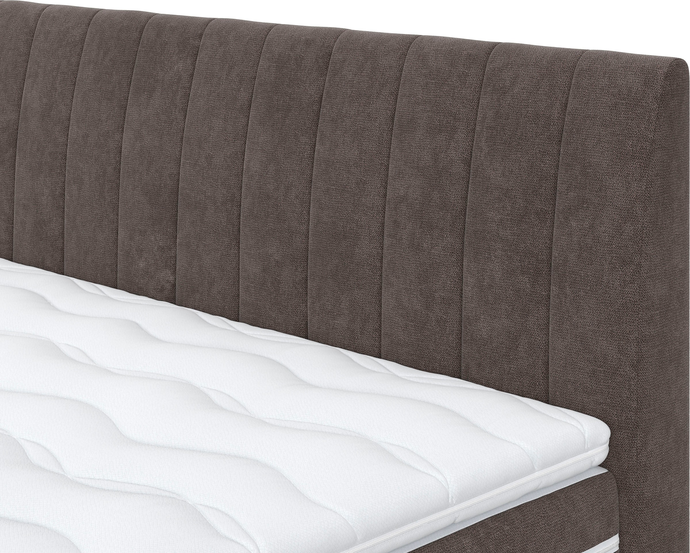 COTTA Boxspringbett »Shark inkl. Bettkasten und Topper«, erhältlich in den Breiten 140x200cm, 160x200cm und 180x200cm