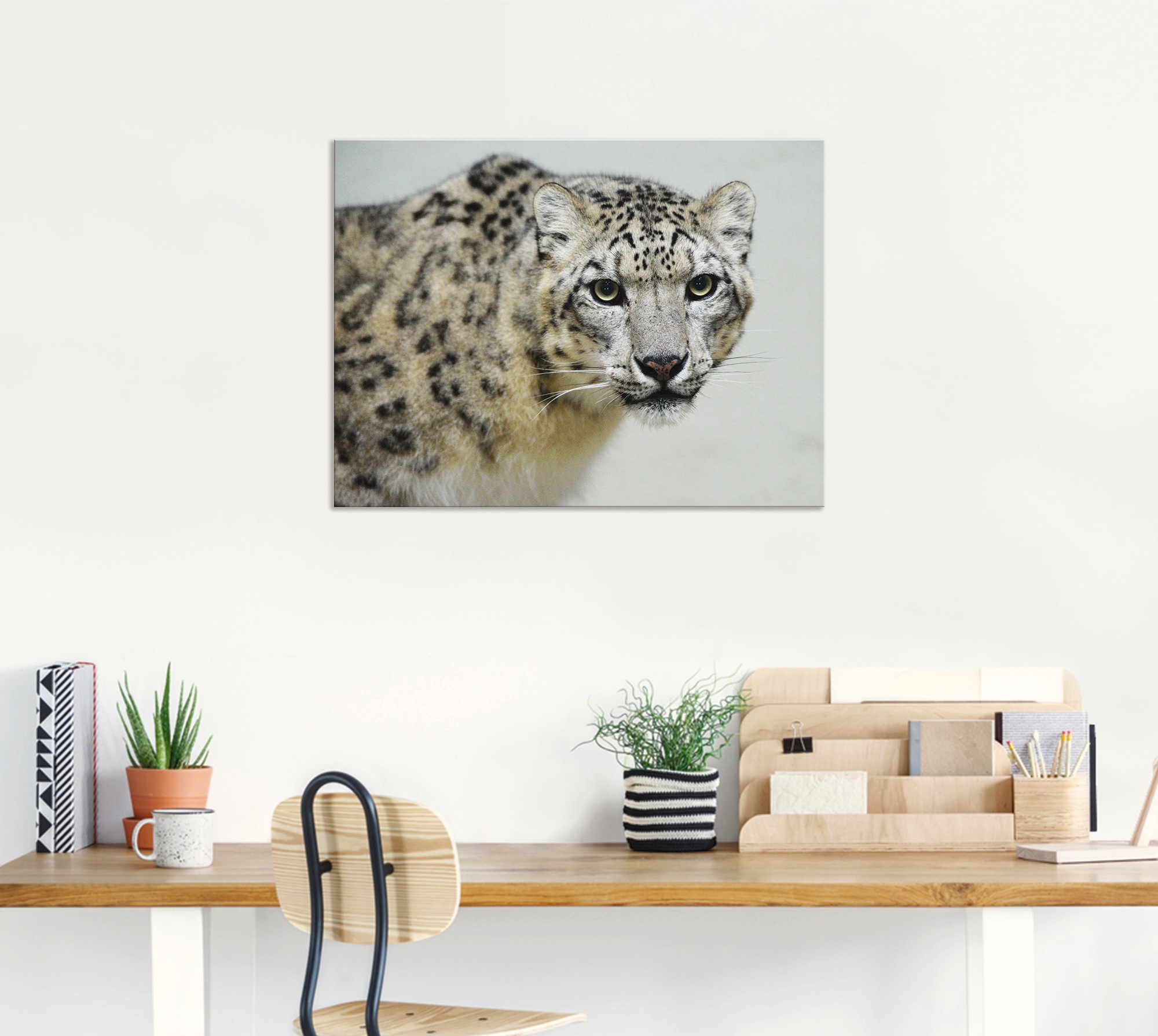 Artland Wandbild »Schneeleopard«, Wildtiere, (1 St.), als Alubild, Outdoorbild, Leinwandbild in verschied. Größen