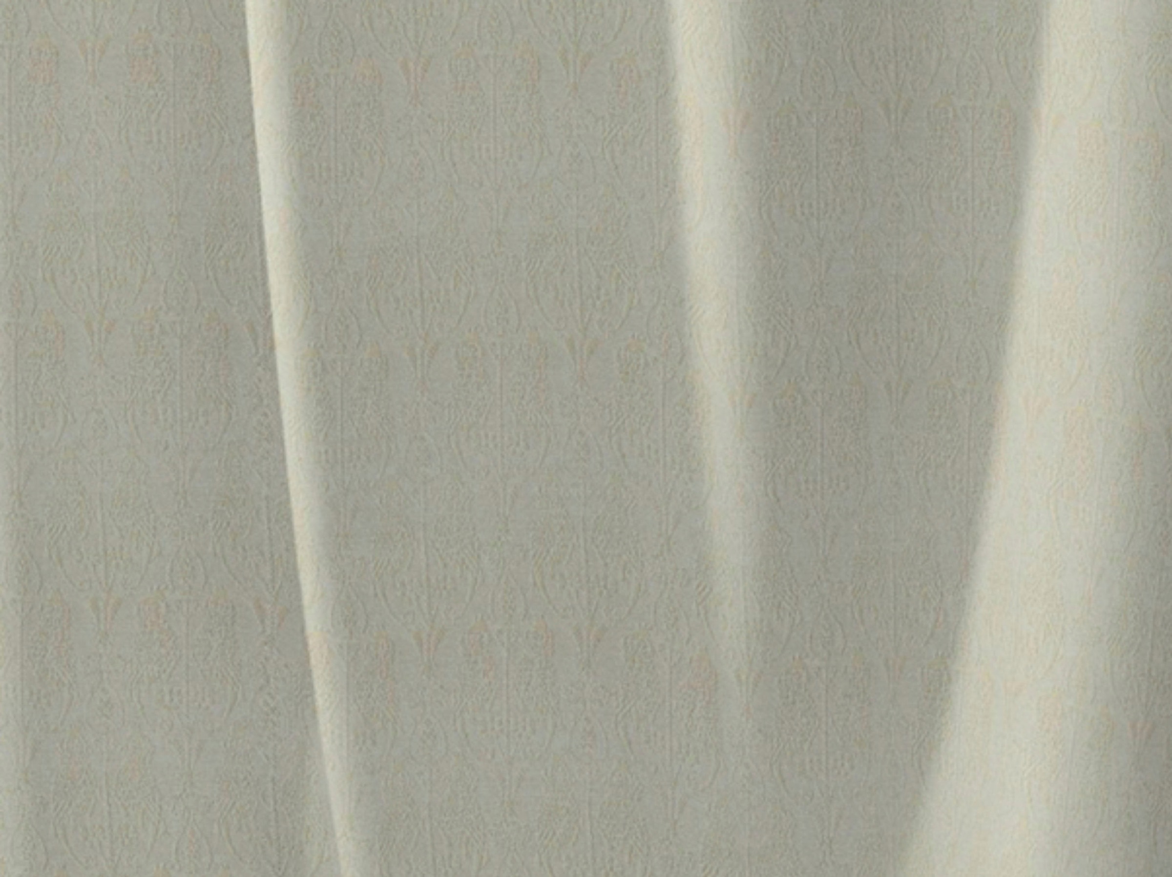 Adam Vorhang »Little Parrot«, (1 St.)
