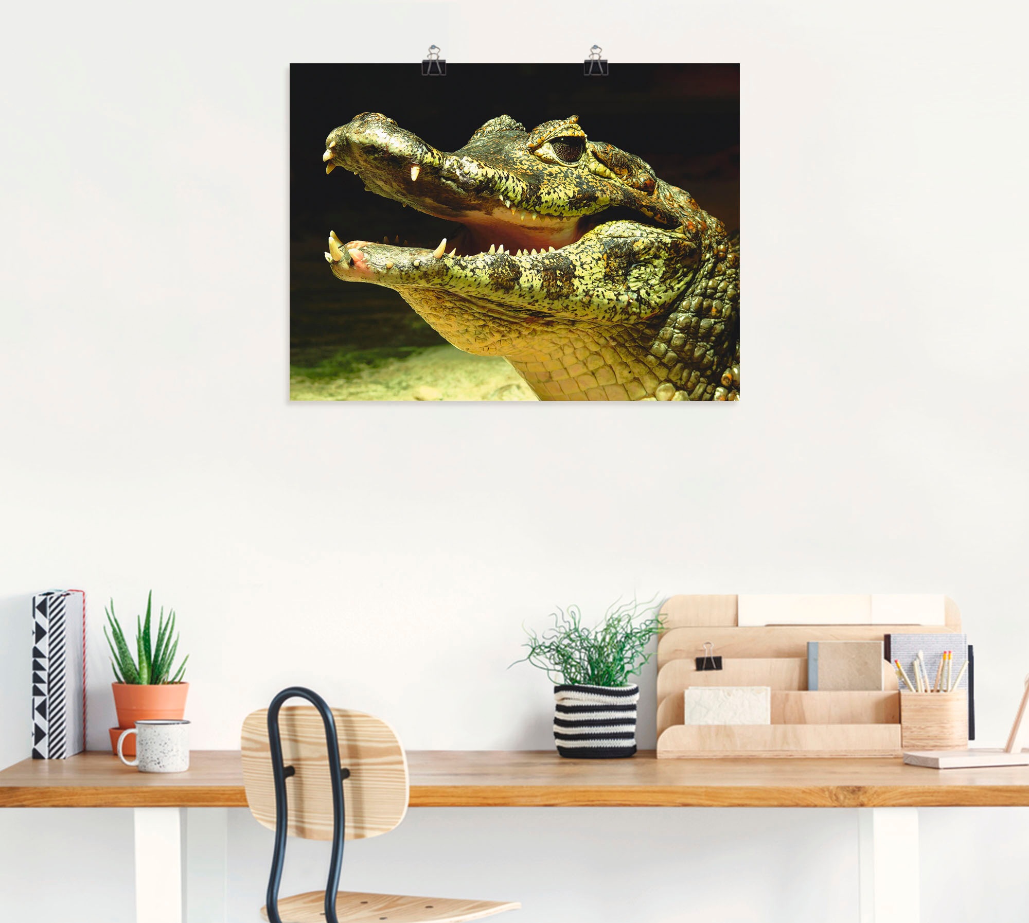 Artland Wandbild »Ein lächelndes Krokodil« Wassertiere 1 Stk. tlg. als Post günstig online kaufen