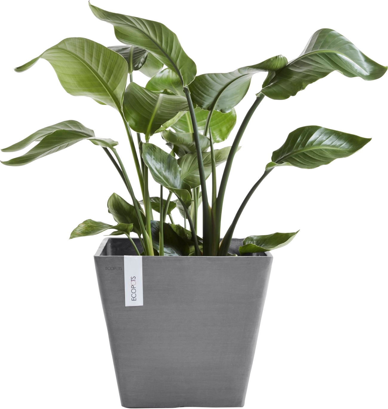 ECOPOTS Blumentopf »ROTTERDAM Grey« BxTxH: 30x30x26 cm