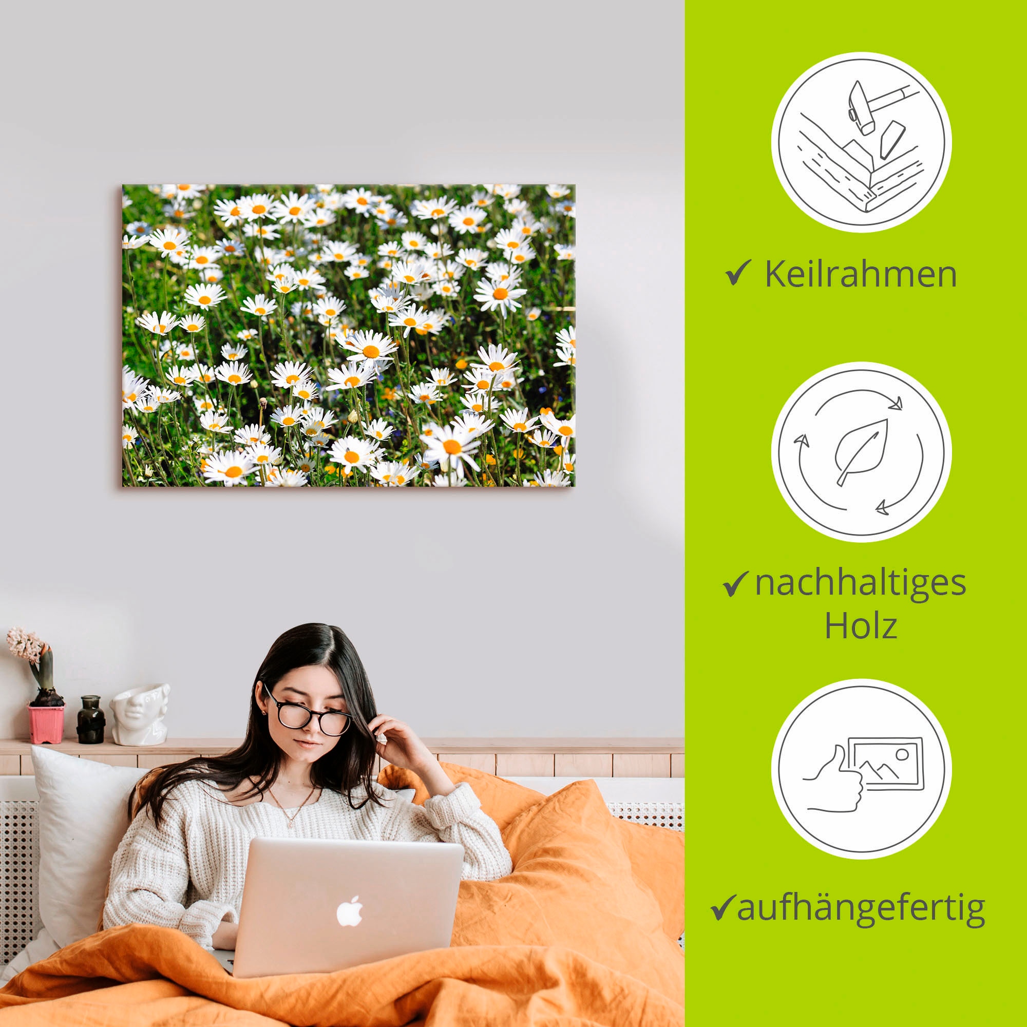 Artland Wandbild »Gänseblümchen«, Blumen, (1 St.), als Alubild, Outdoorbild, Leinwandbild in verschied. Größen