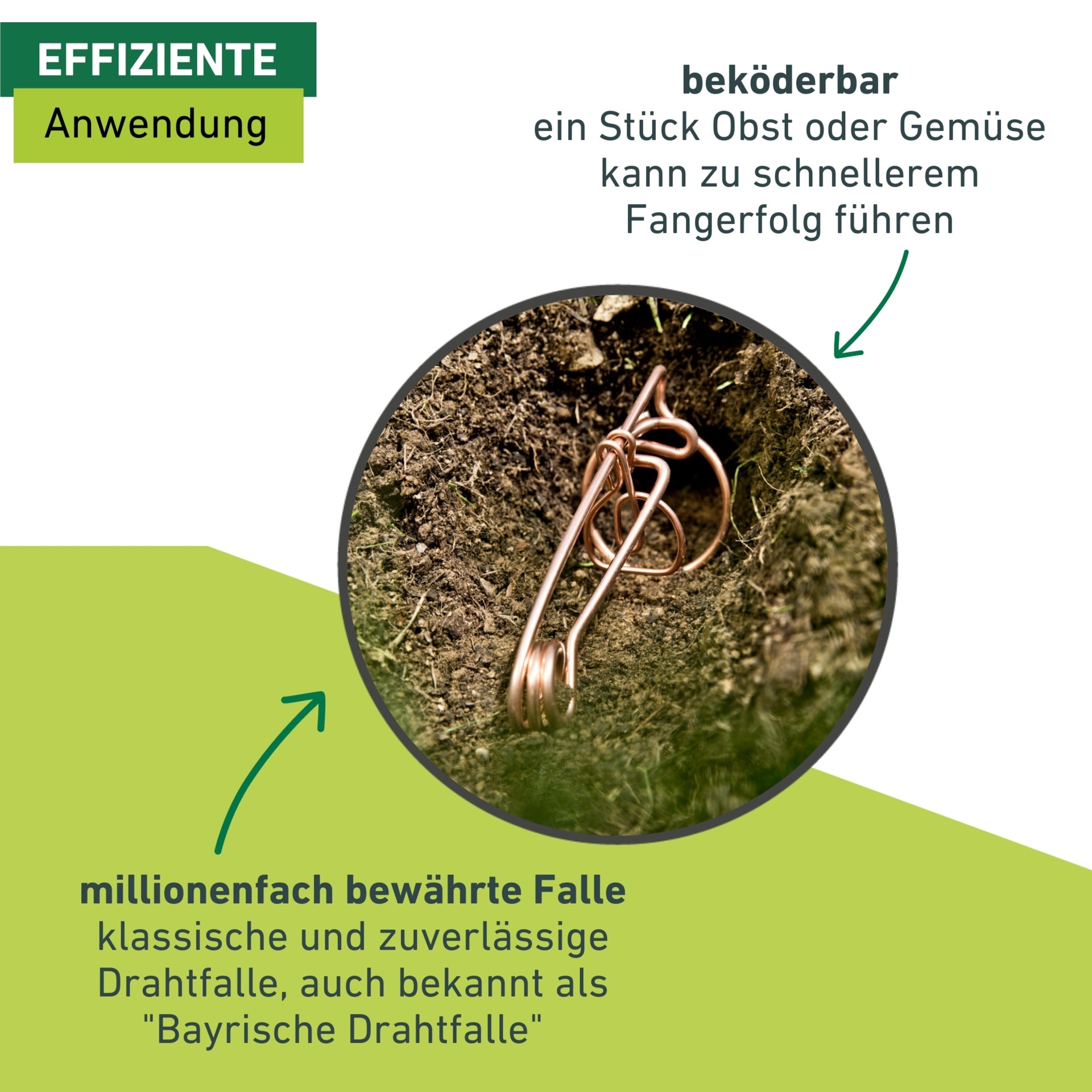 Windhager Schlagfalle »Draht-Wühlmausfalle im Doppelpack« Wühlmausbekämpfung robust,  Schnappfalle 6 x 14 x 9,5 cm, Kupfer