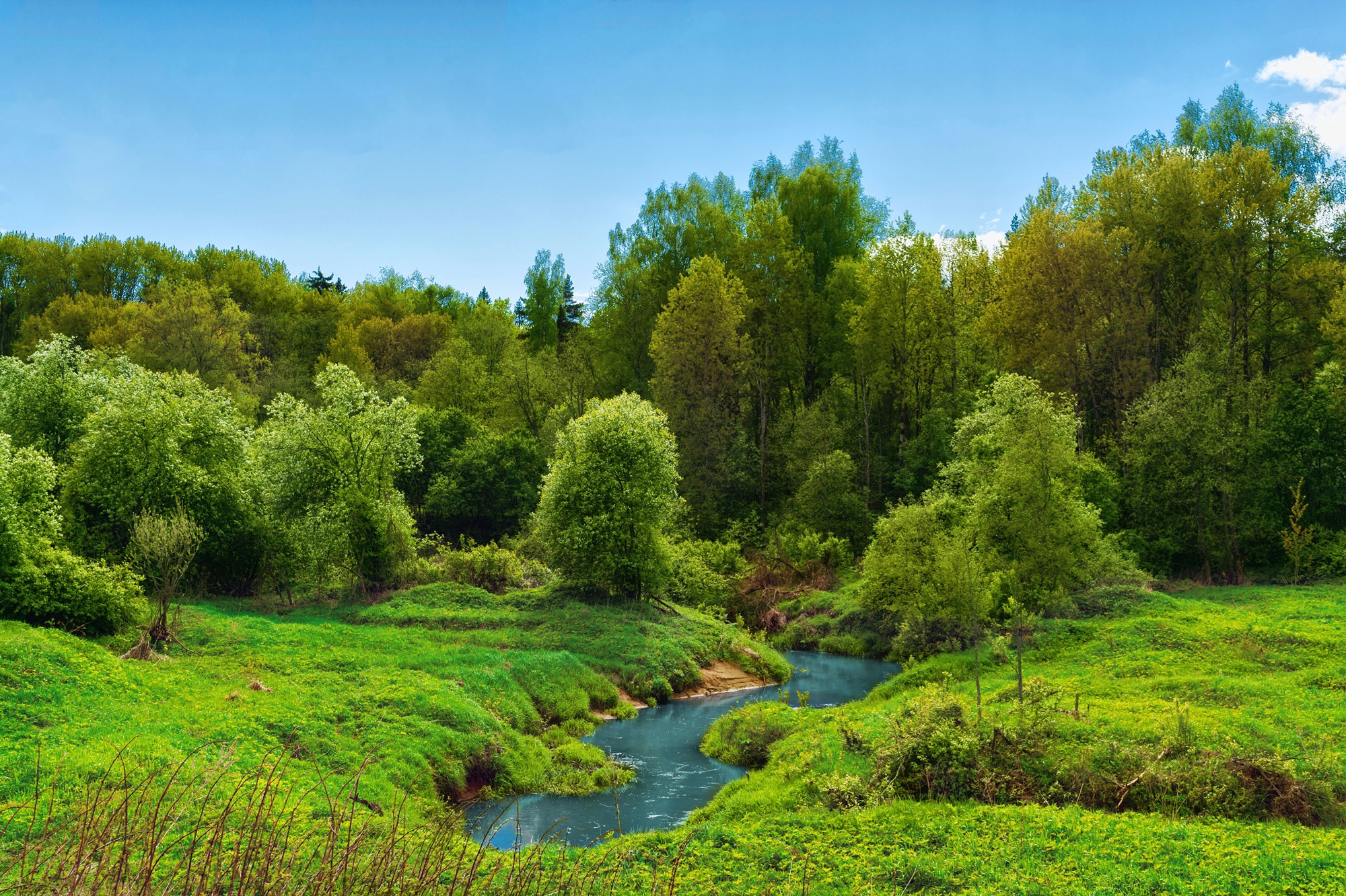 Papermoon Fototapete »FLUSS IM WALD-BAUM NATUR DSCHUNGEL SONNE WEG WASSERFA günstig online kaufen