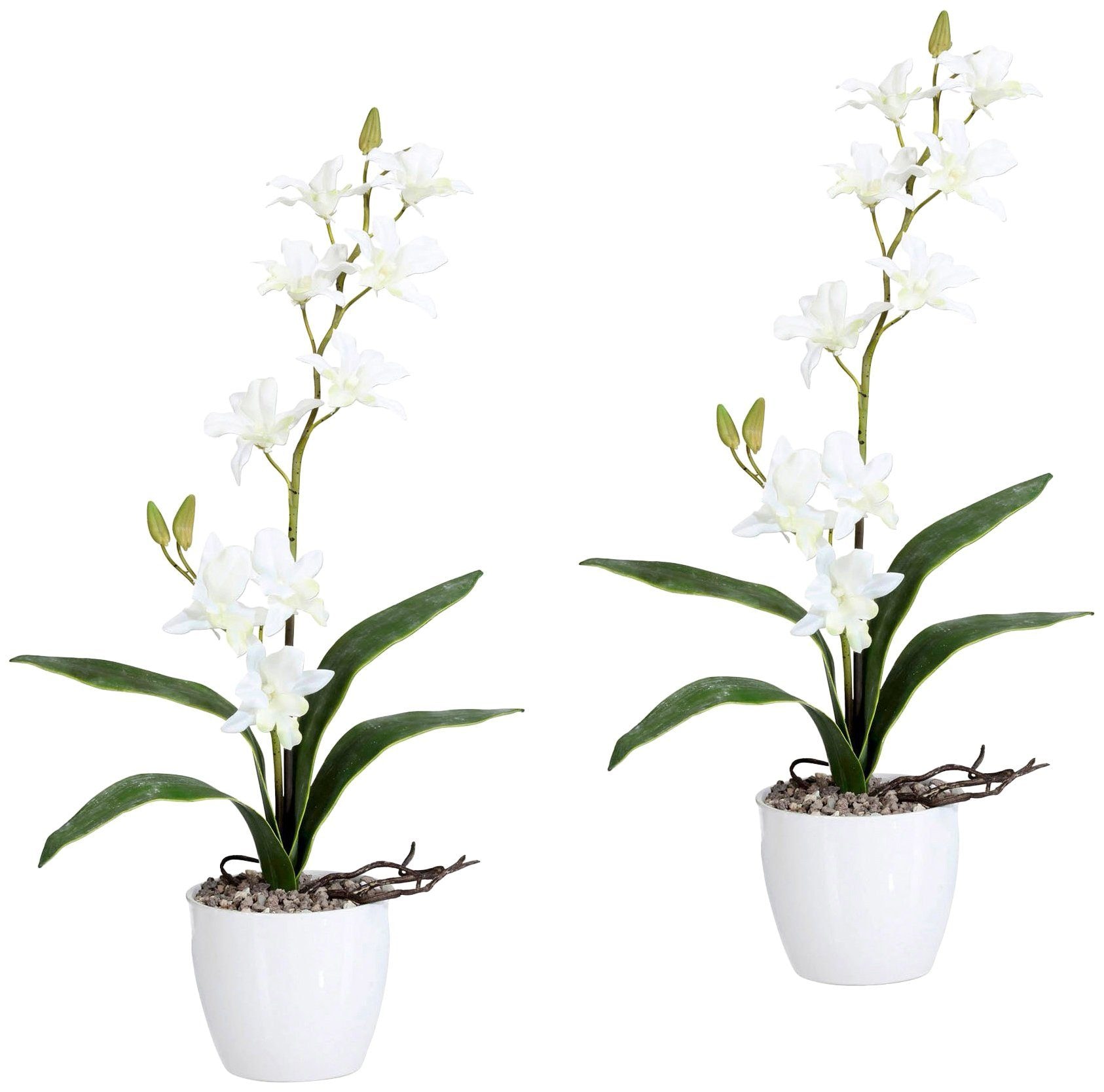 Keramiktopf online bestellen »Orchidee Kunstpflanze im green Dendrobie«, Creativ