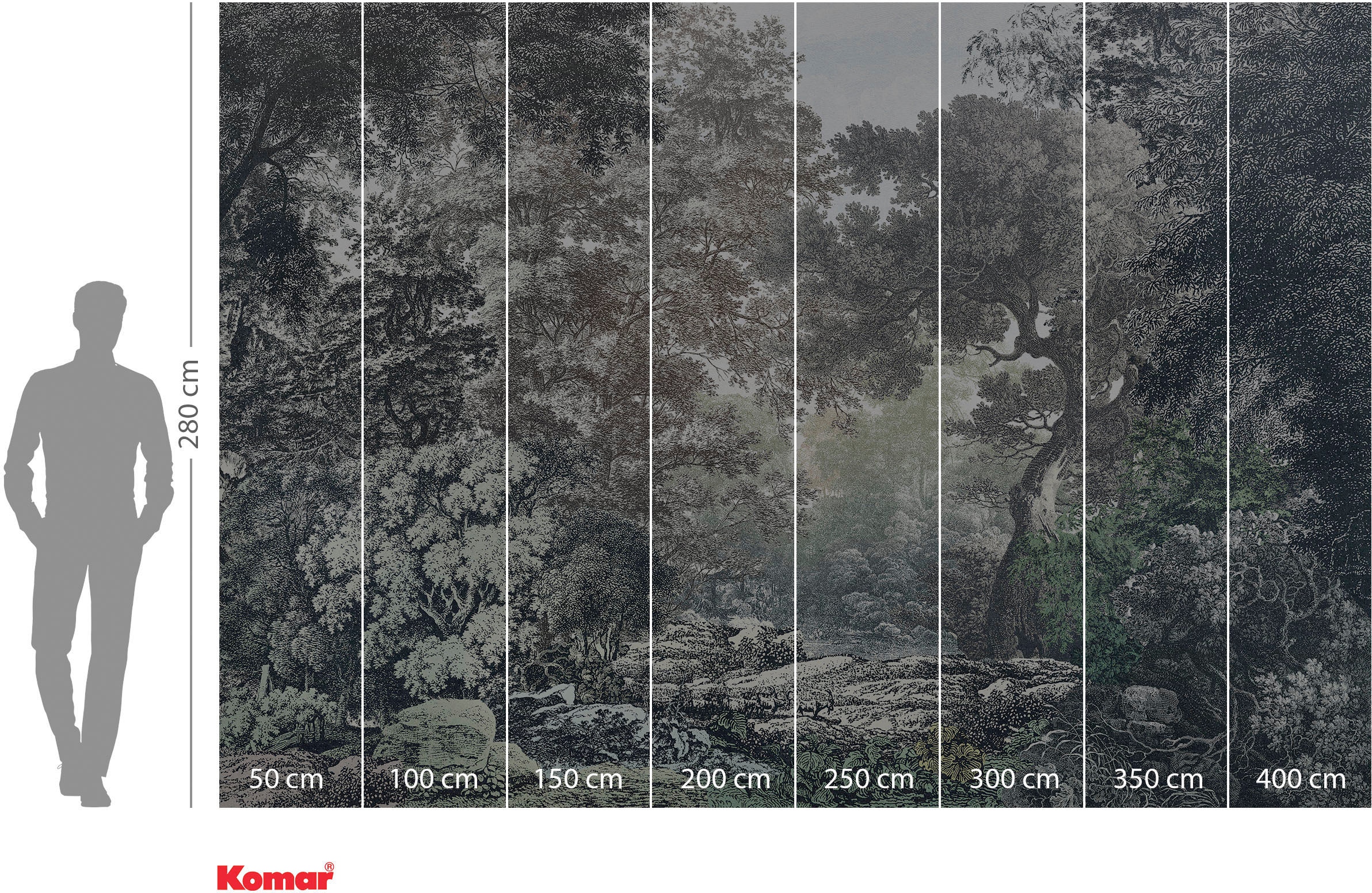 Komar Fototapete »Digitaldruck Vlies - Wood Wide Web - Größe 400 x 280 cm«, bedruckt, Wohnzimmer, Schlafzimmer