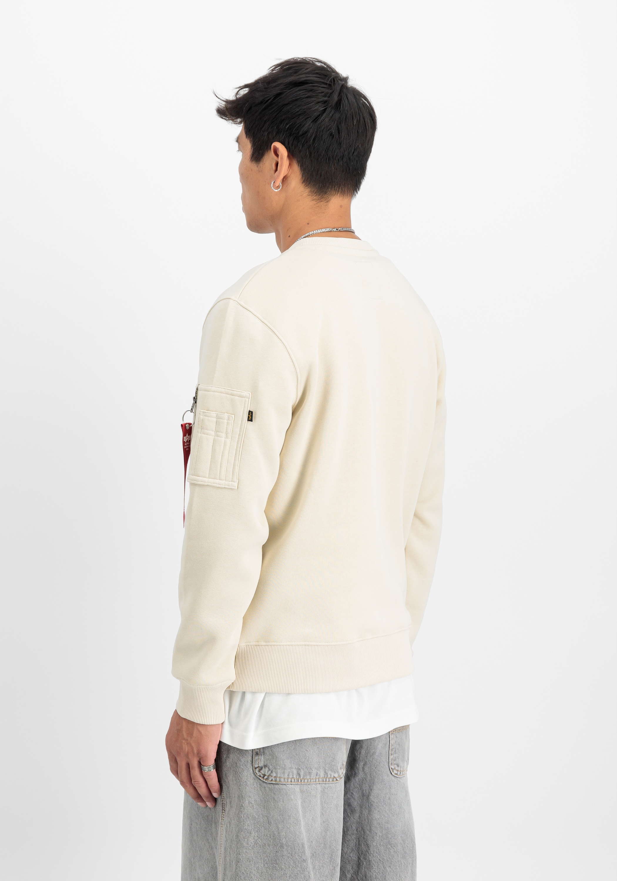 Alpha Industries Sweater »Alpha Industries Men - Sweatshirts Alpha Refl. Print Sweater«
