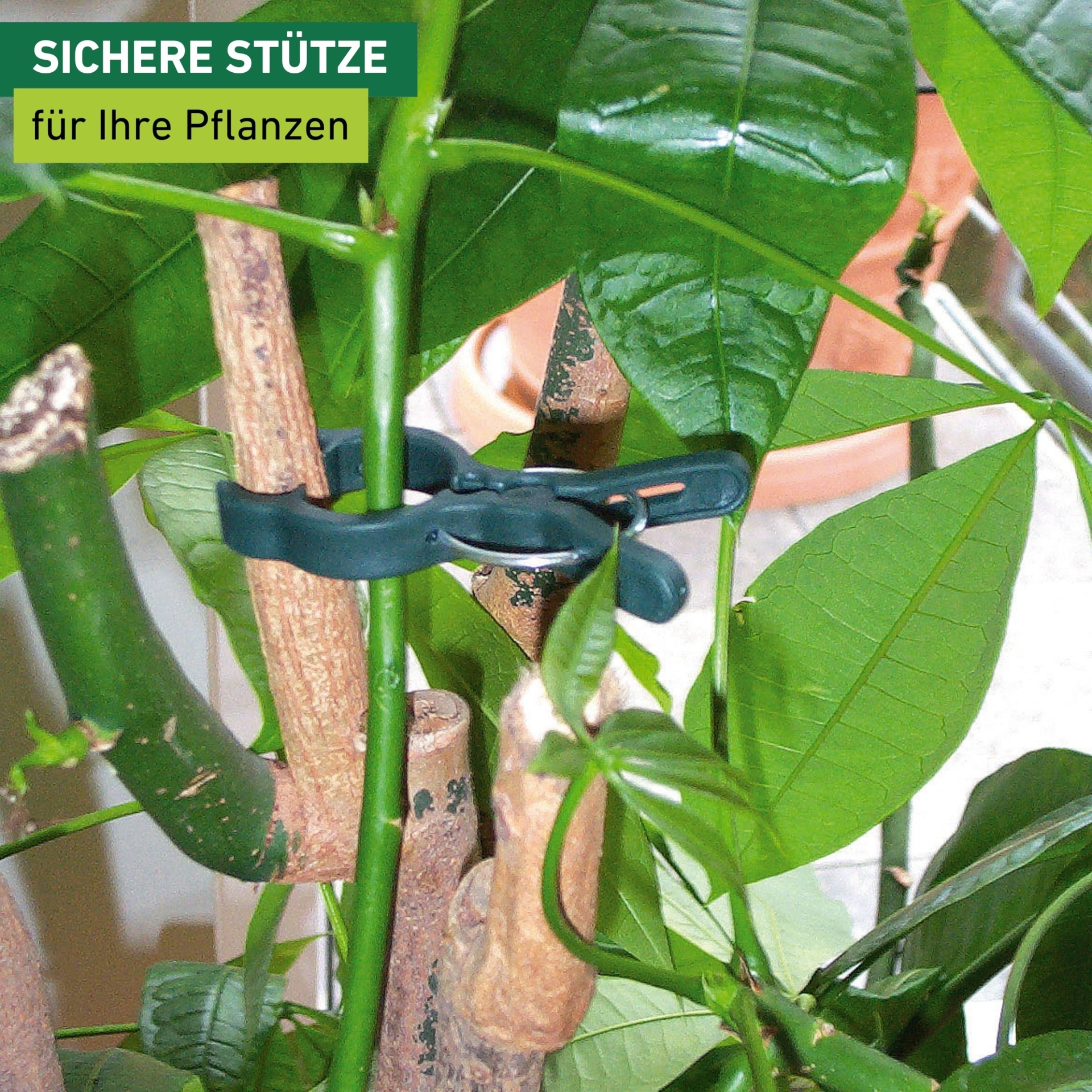 Windhager Rankhilfe »Pflanzenclips Fix zum befestigen von Ästen, Pflanzklammern 12 Stk.« Pflanzenhalter 7,5 x 5 cm, grün