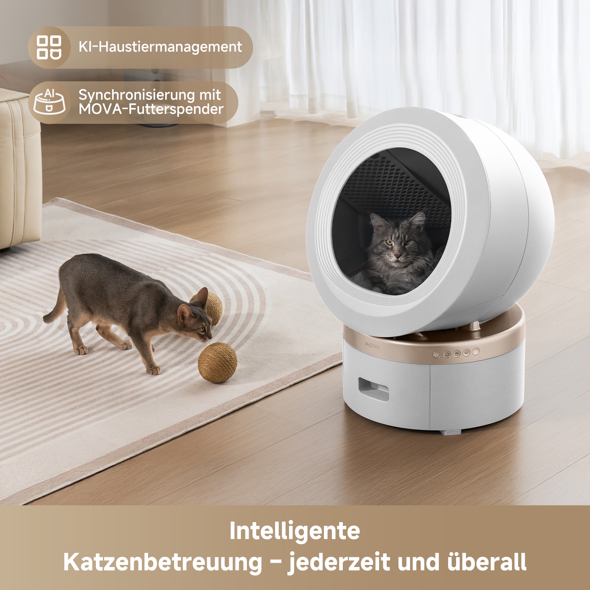 Mova Katzentoilette »LR10 Prime«