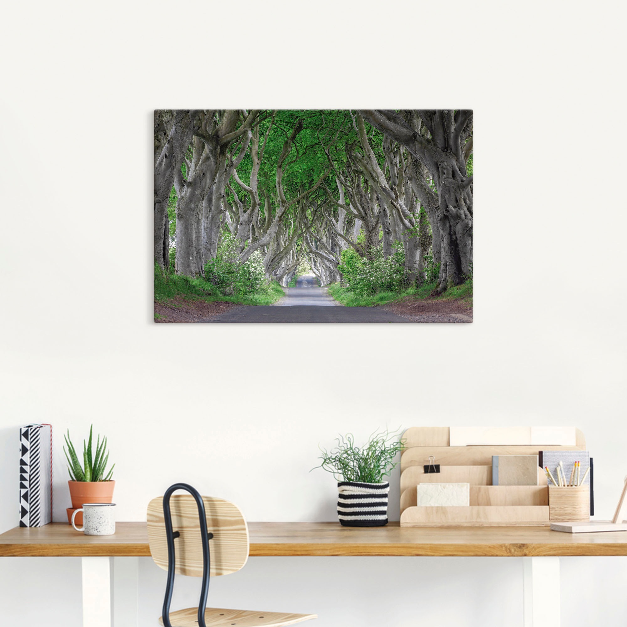 Artland Wandbild »Straße durch den Zauberwald«, Waldbilder, (1 St.), als Al günstig online kaufen