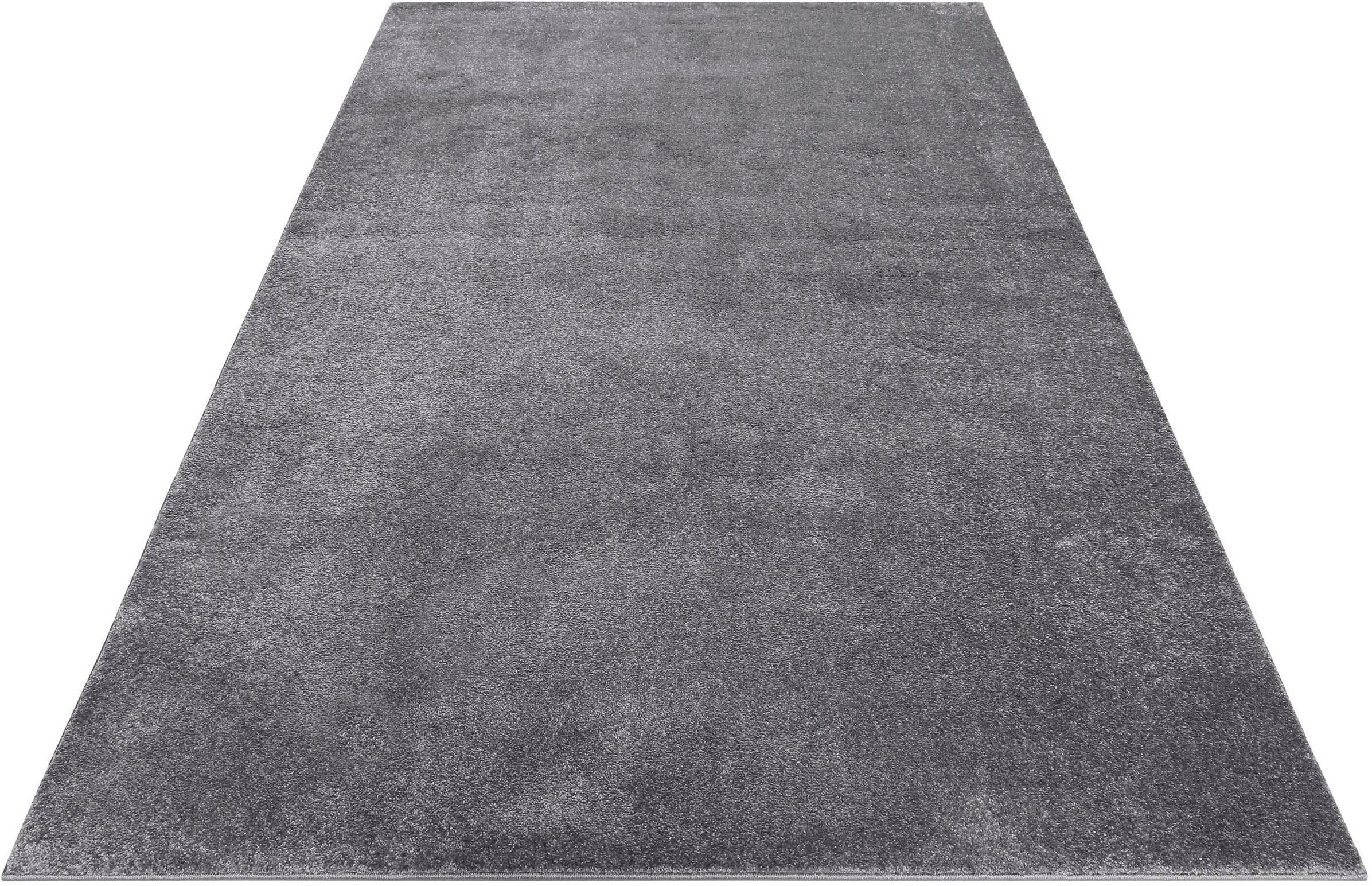 Esprit Teppich »Campus ESP-0035«, rechteckig, 17 mm Höhe, sehr flauschiger, günstig online kaufen