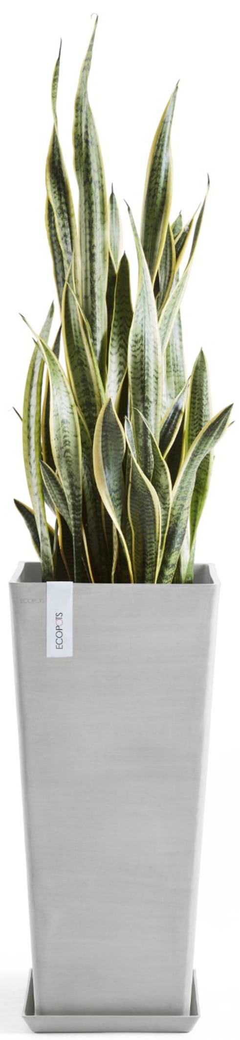 ECOPOTS Blumentopf »Rotterdam hoch 70 Weißgrau« für innen und außen: frostsicher, bruchsicher und lichtbeständig