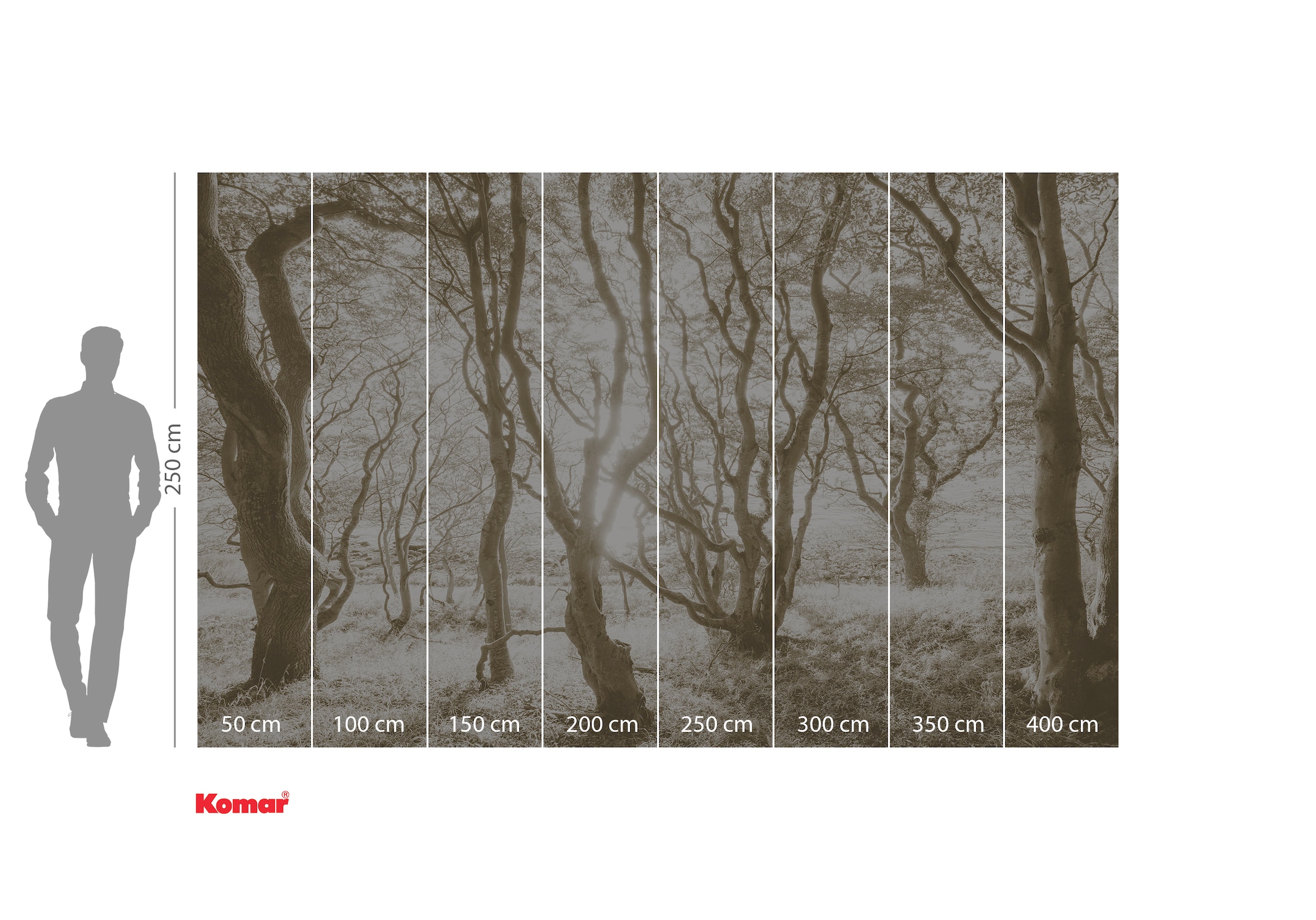 Komar Fototapete »Digitaldruck Vlies - Bleached Birch - Größe 400 x 250 cm«, bedruckt-floral-geblümt-gemustert-tropisch, Wohnzimmer, Schlafzimmer