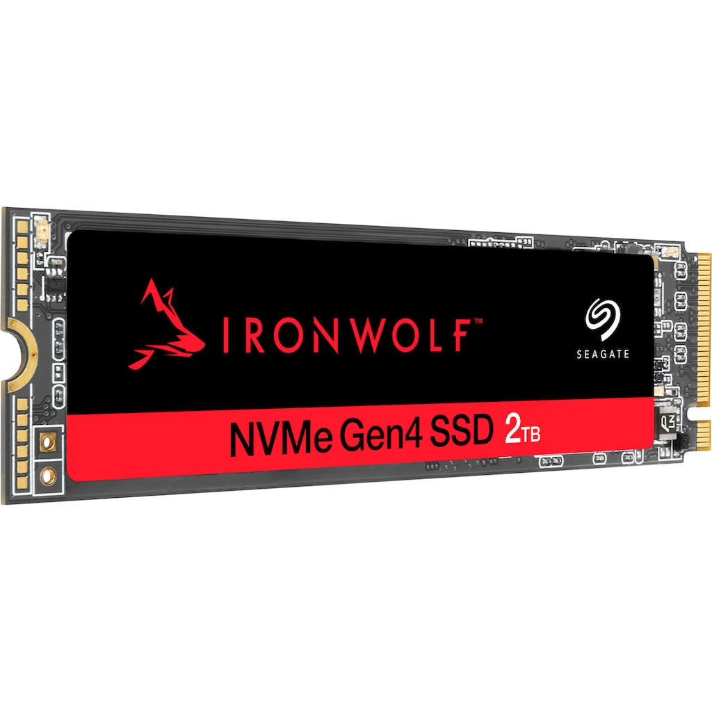 Seagate interne SSD »IronWolf®525«