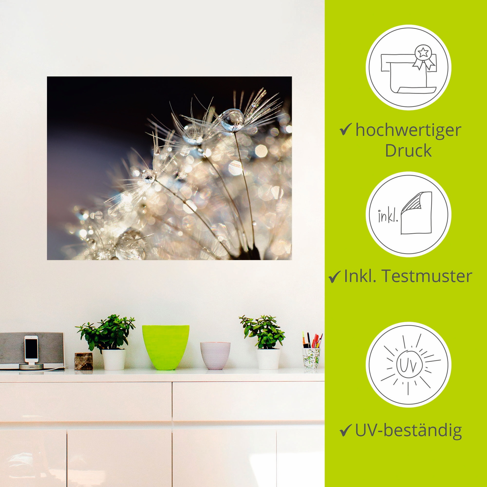 Artland Wandbild »Pusteblume Fantasie«, Blumen, (1 St.), als Alubild, Outdoorbild, Leinwandbild, Poster, Wandaufkleber