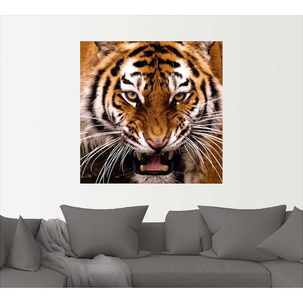 Artland Wandbild »Tiger Kopf«, Wildtiere, (1 St.)