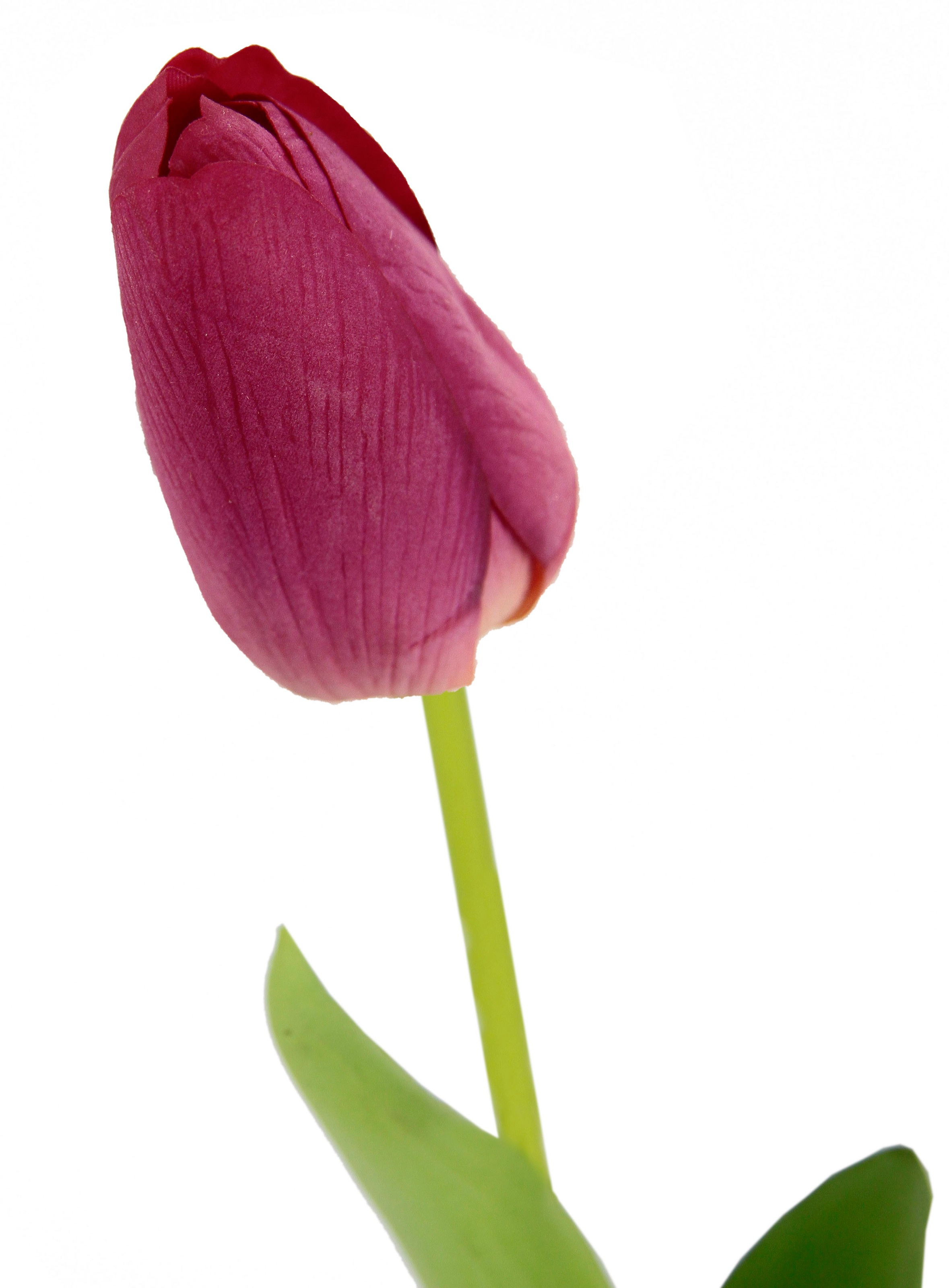 I.GE.A. Kunstblume »Real Touch Tulpen«, 5er Set künstliche Tulpenknospen, Kunstblumen, Stielblume