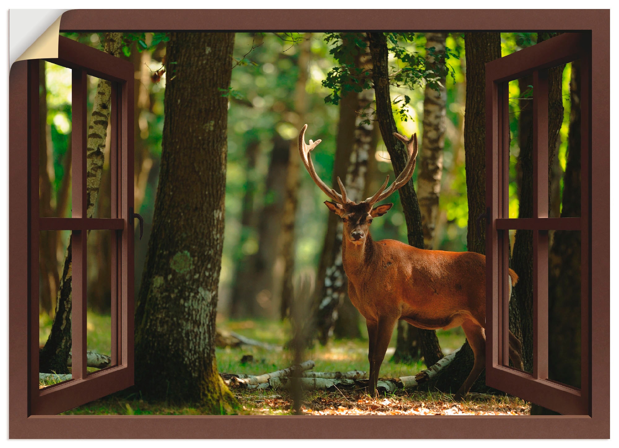 Artland Wandbild »Fensterblick - Hirsch 4 - Wald«, Fensterblick, (1 St.), a günstig online kaufen