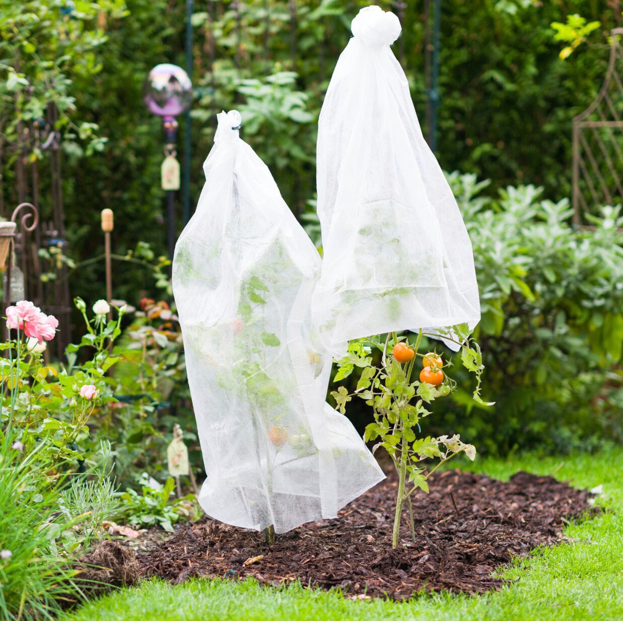 Windhager Winterschutzvlies »Wachstumsvlies« Tomaten-Vliesschlauch, 1000x65 cm