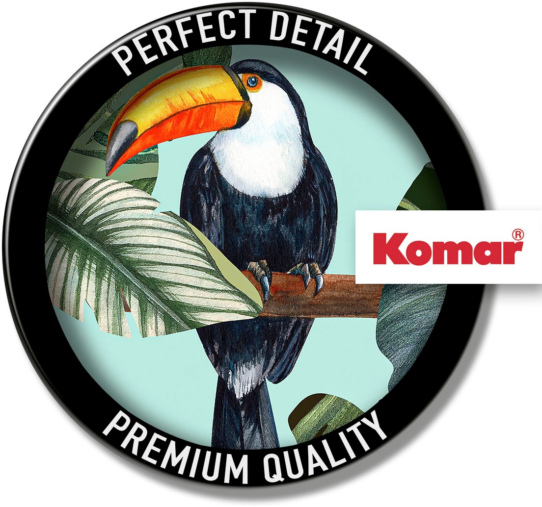 Komar Bild »Toco Toucan«, Natur, (1 St.), Wandbild zur Dekoration - ohne Rahmen