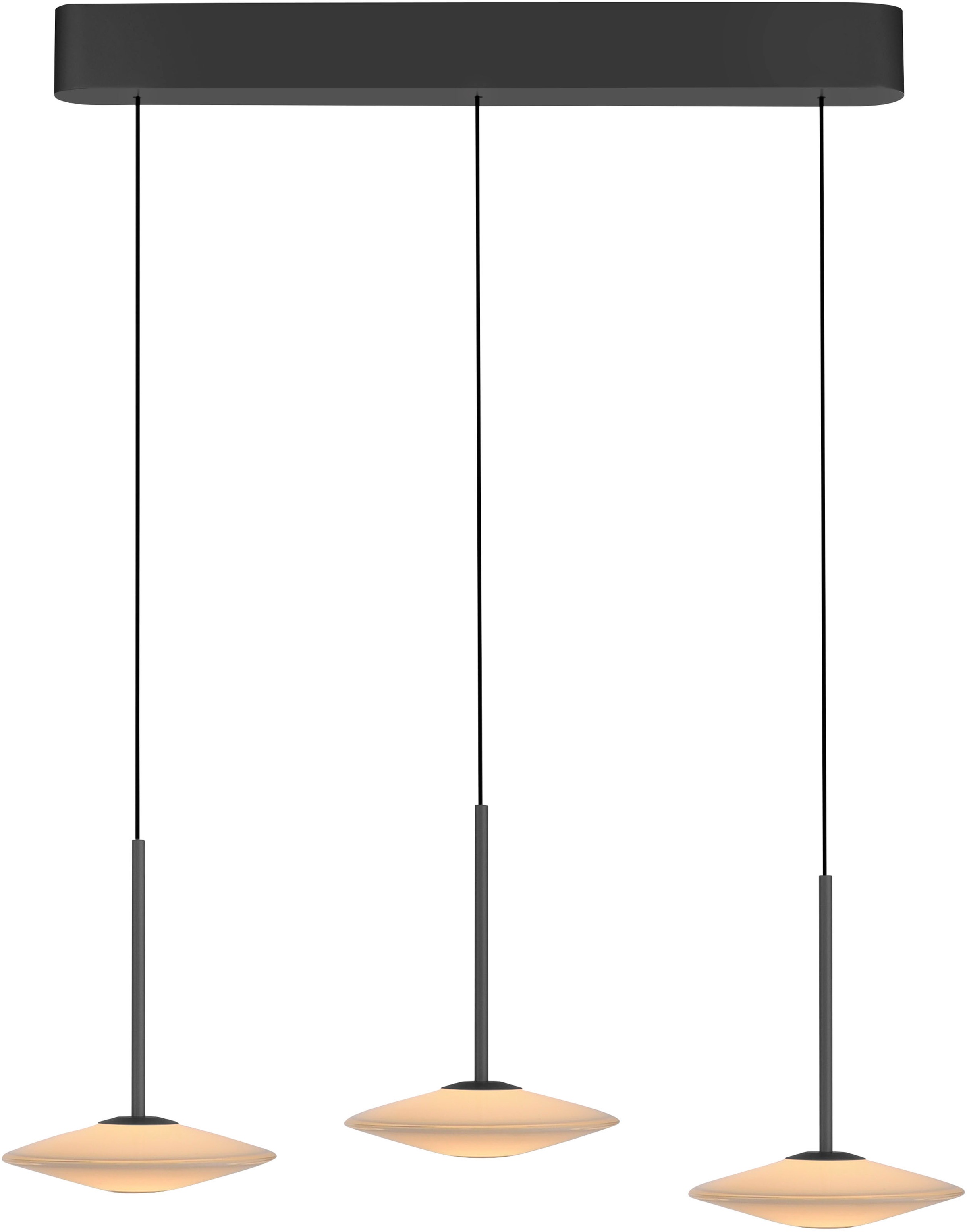 Paul Neuhaus LED Pendelleuchte »ELIPSA« LED-Board 1 Stk. Warmweiß Dimmfähig günstig online kaufen