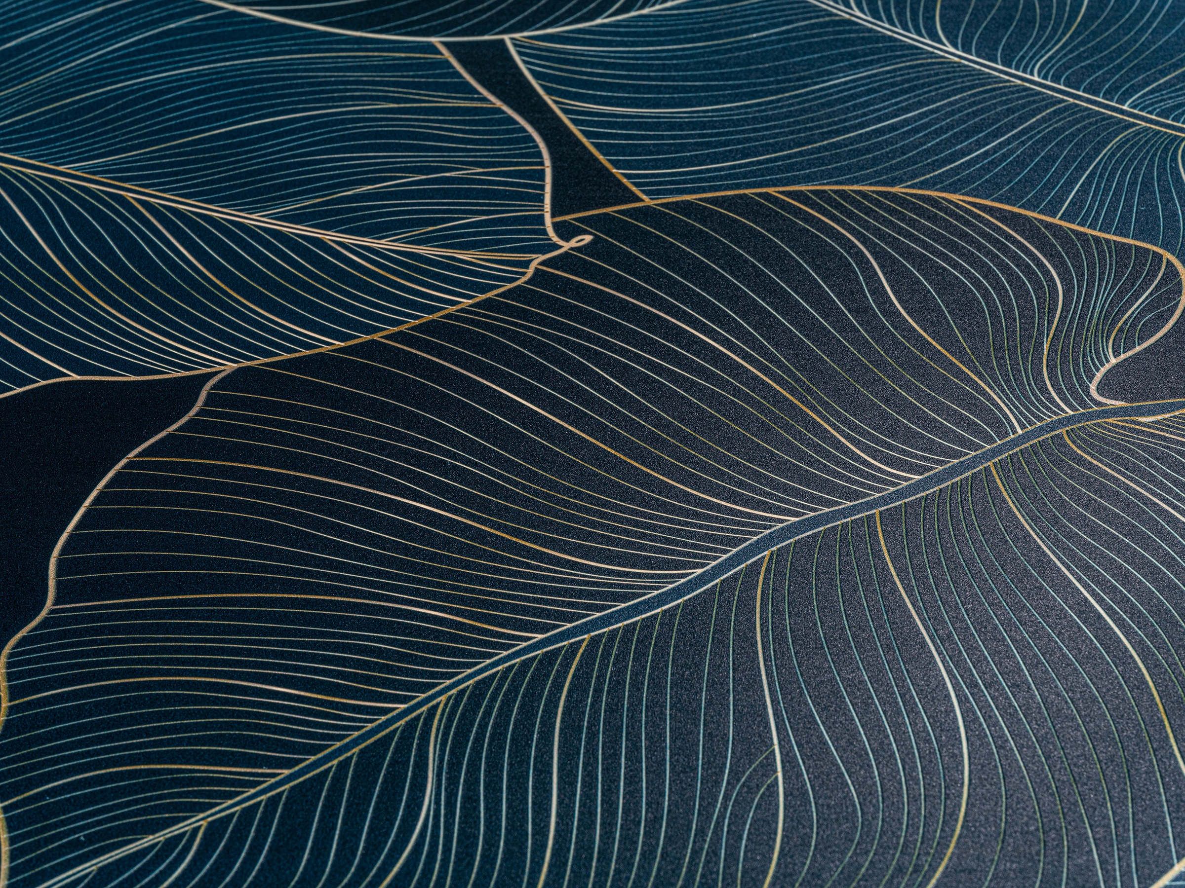 WENKO WC-Sitz »Big Leaves«, mit Relief, aus antibakteriellem Duroplast