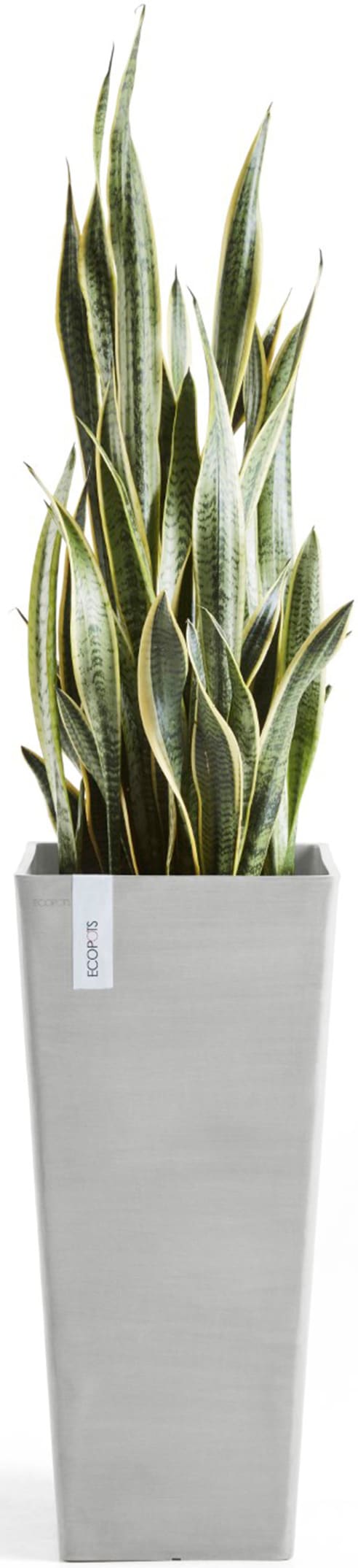 ECOPOTS Blumentopf »Rotterdam hoch 70 Weißgrau« für innen und außen: frostsicher, bruchsicher und lichtbeständig