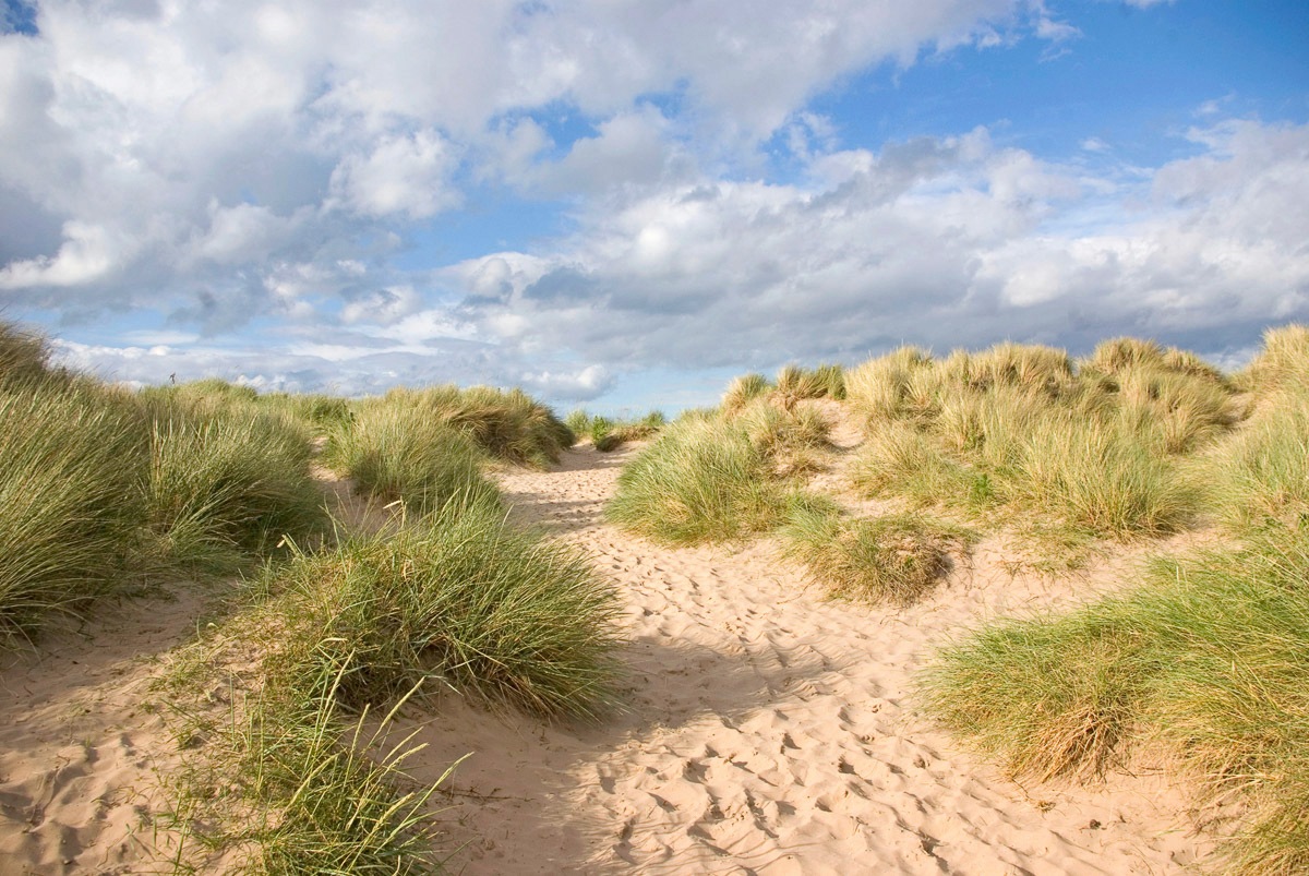 Papermoon Fototapete »bunt« günstig online kaufen