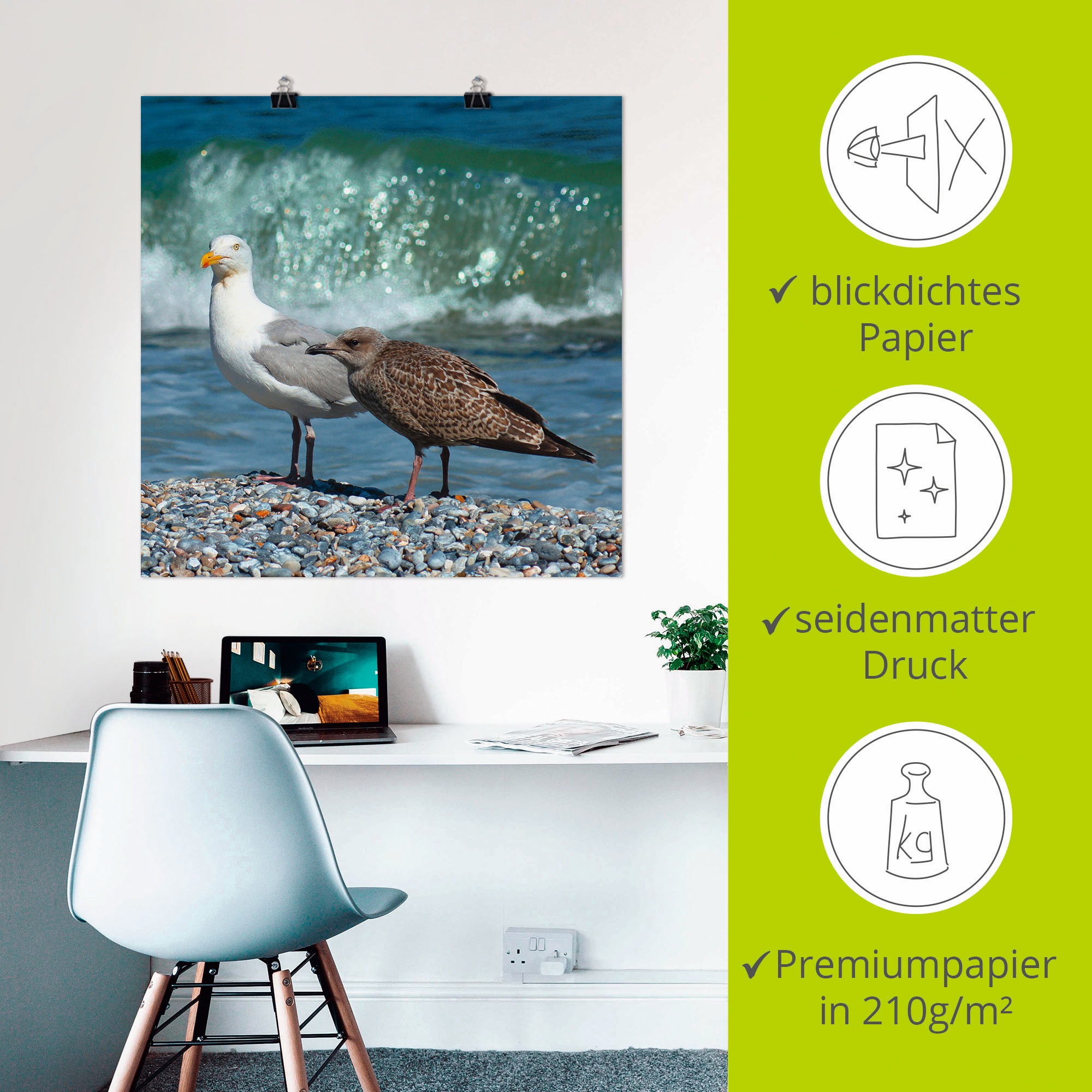 Artland Wandbild »Möwen in der Meeresbrandung«, Vögel, (1 St.), als Poster, Wandaufkleber in verschied. Größen