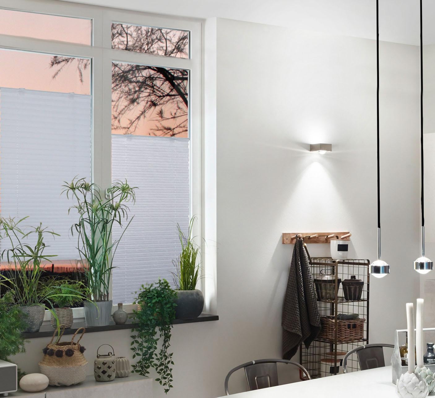 Good Life Plissee »Vega«, Lichtschutz, ohne Bohren, verspannt, Haftfix, ohne Schrauben, mit Saugnapf