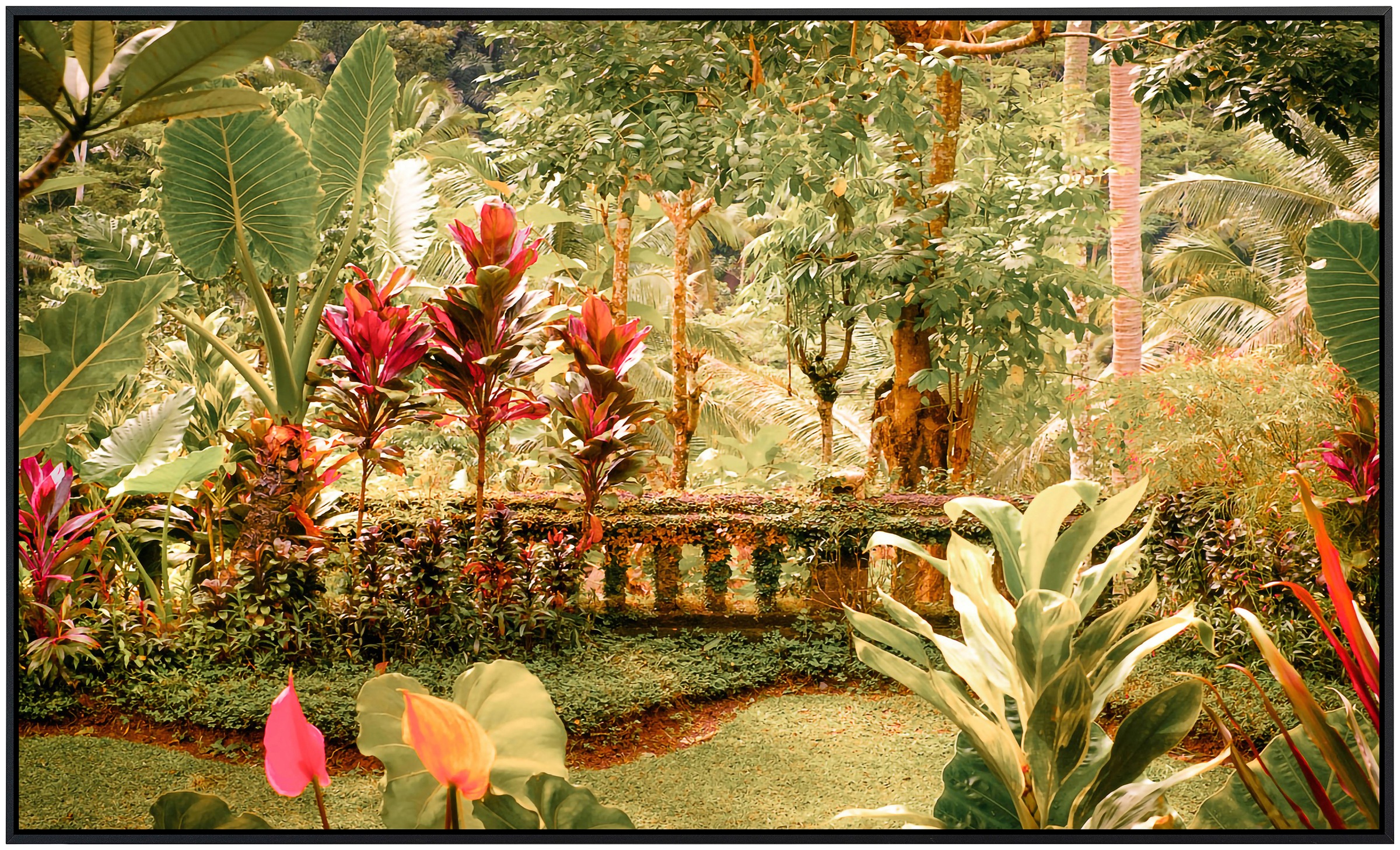 Papermoon Infrarotheizung »Fantasie tropischer Garten«, sehr angenehme Stra günstig online kaufen