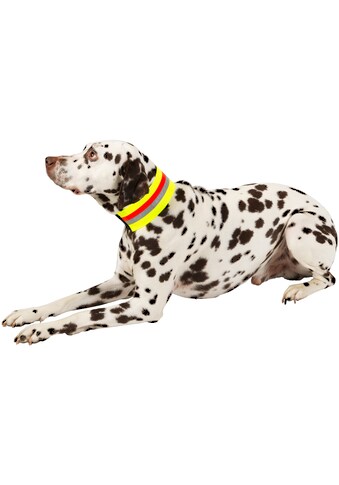 HEIM Hunde-Halsband »Signalhalsband«, Textil kaufen