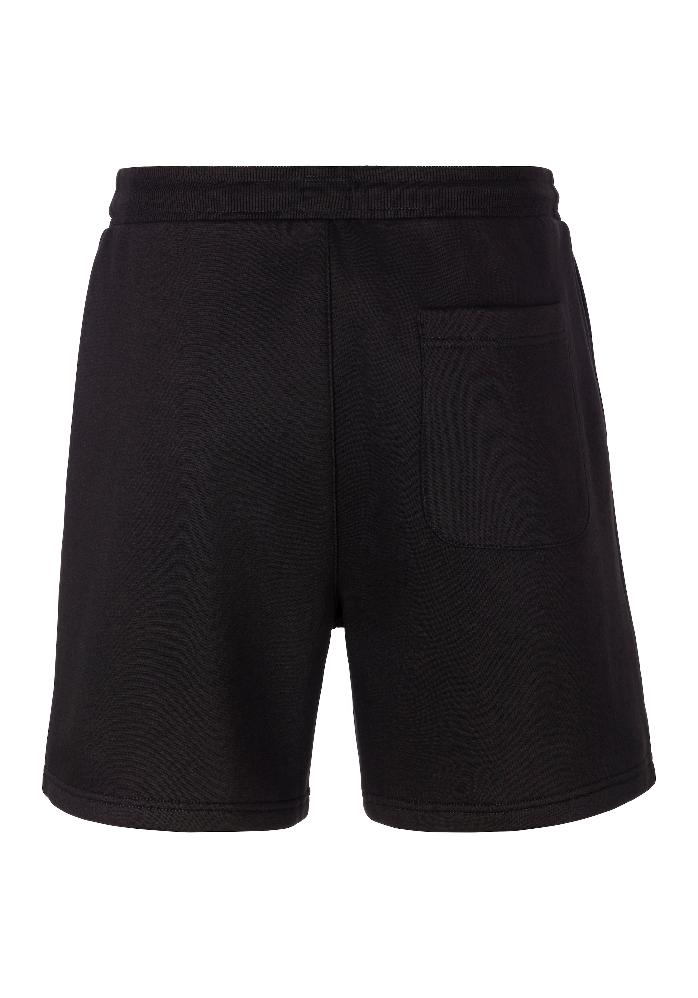 Tommy Jeans Sweatshorts »TJM S FLAG BEACH SHORT EXT«