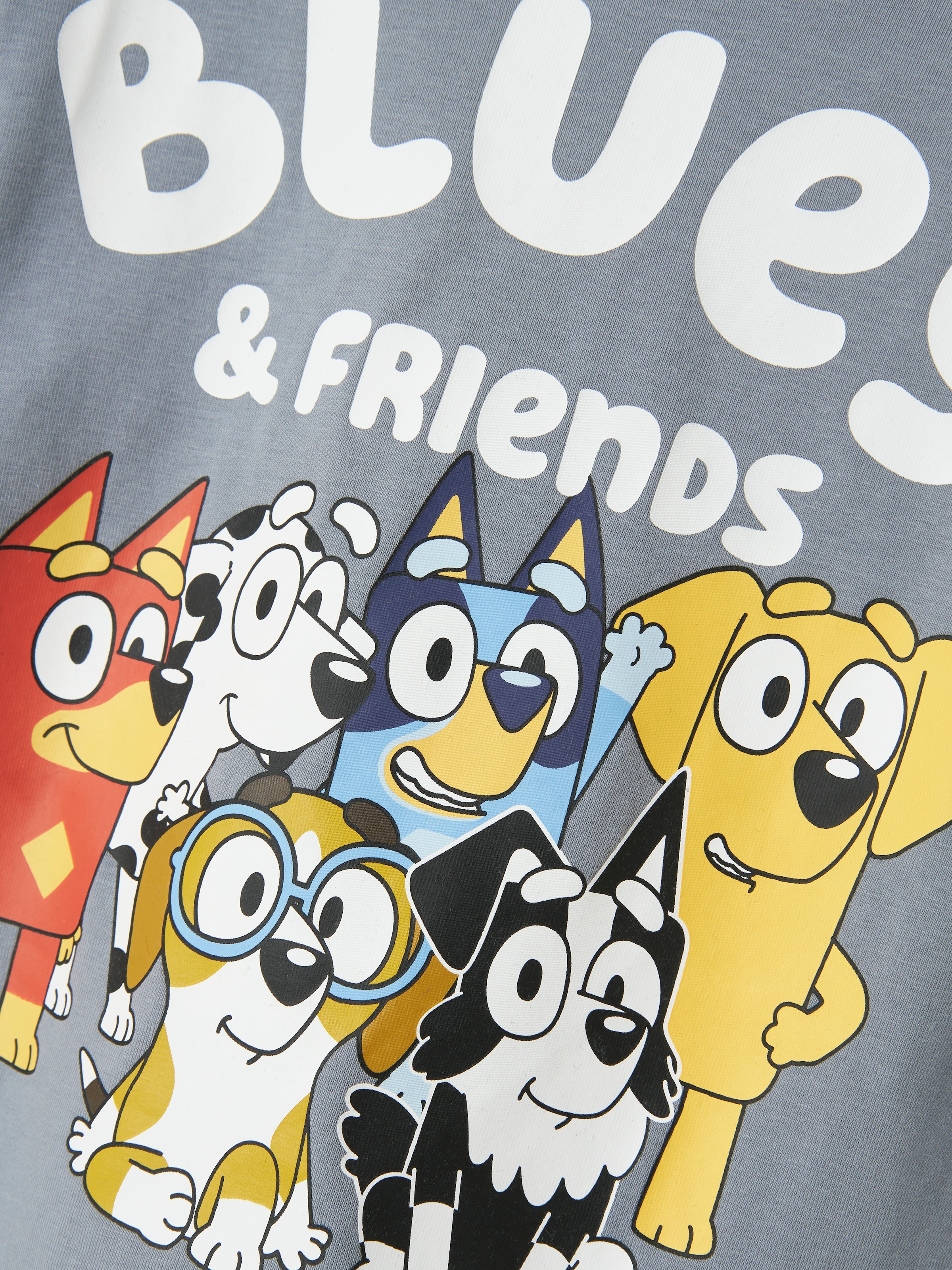 Name It Langarmshirt »NMMALEX BLUEY LS NREG TOP NOOS SKY«