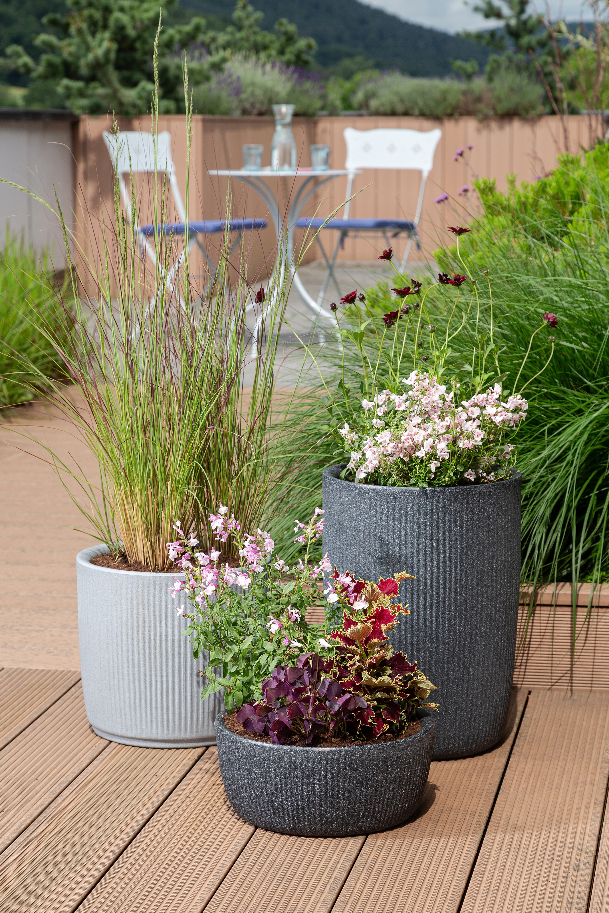 Scheurich Übertopf »30/273 LINETTO BOWL« Pflanzschale aus Kunststoff, ØxH: 28,6x12,6 cm