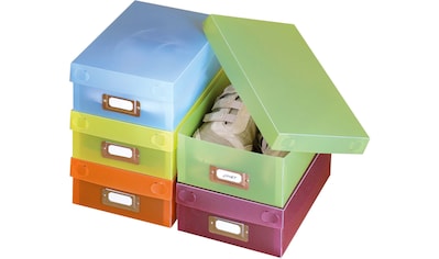 Schuhbox »Multi-Boxen«, (10 St.), mit Beschriftungsfeld und Deckel